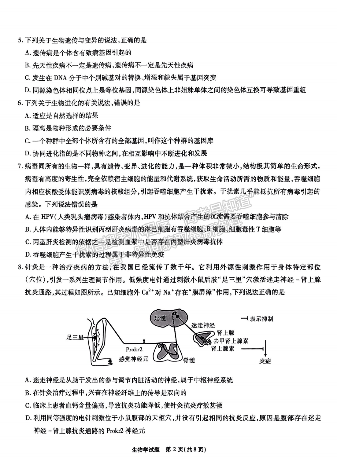 2024安徽江淮十校高三第一次联考生物试卷及参考答案
