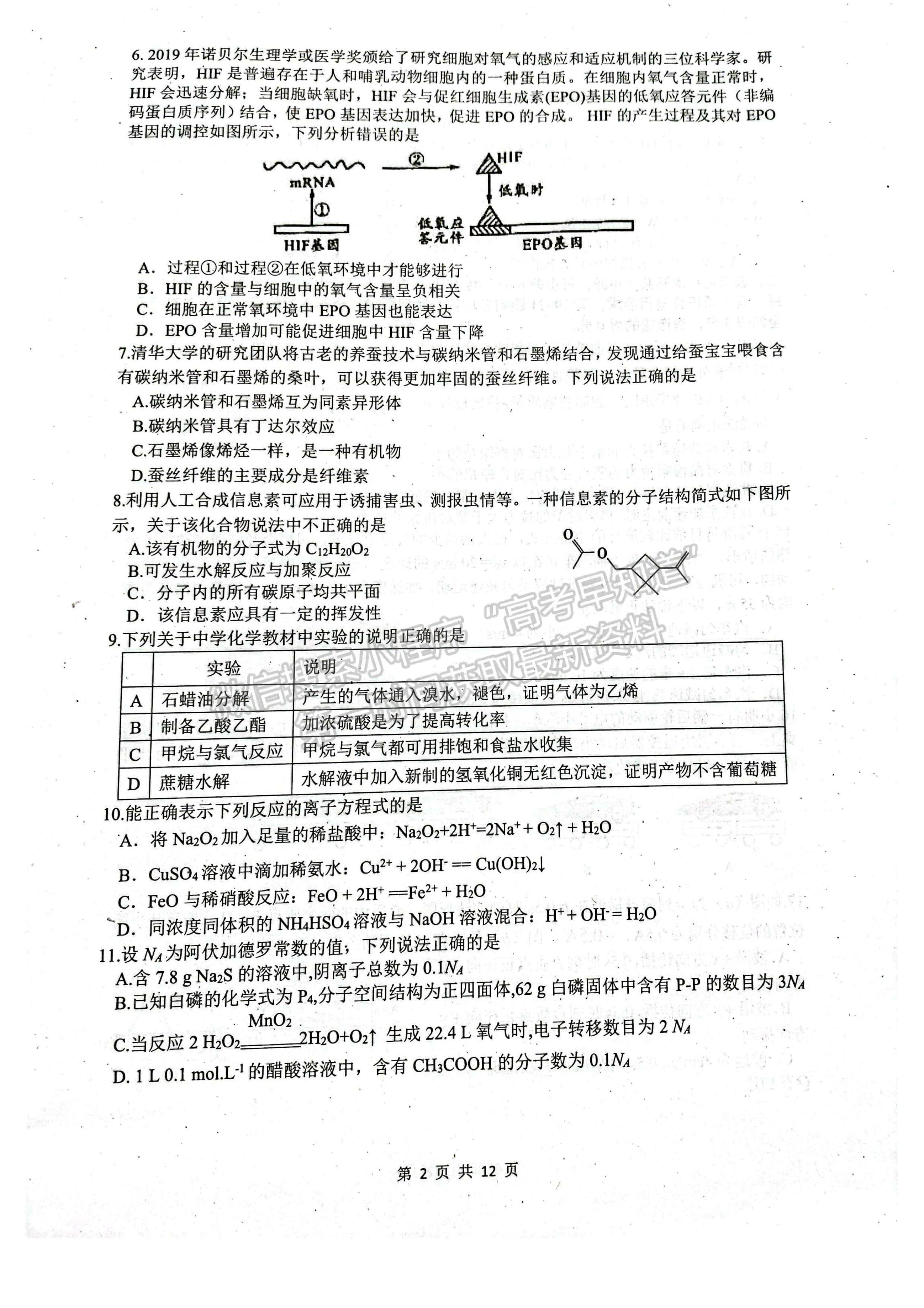 2024四川省綿陽南山中學(xué)高三上學(xué)期零診考試?yán)砜凭C合試題及答案