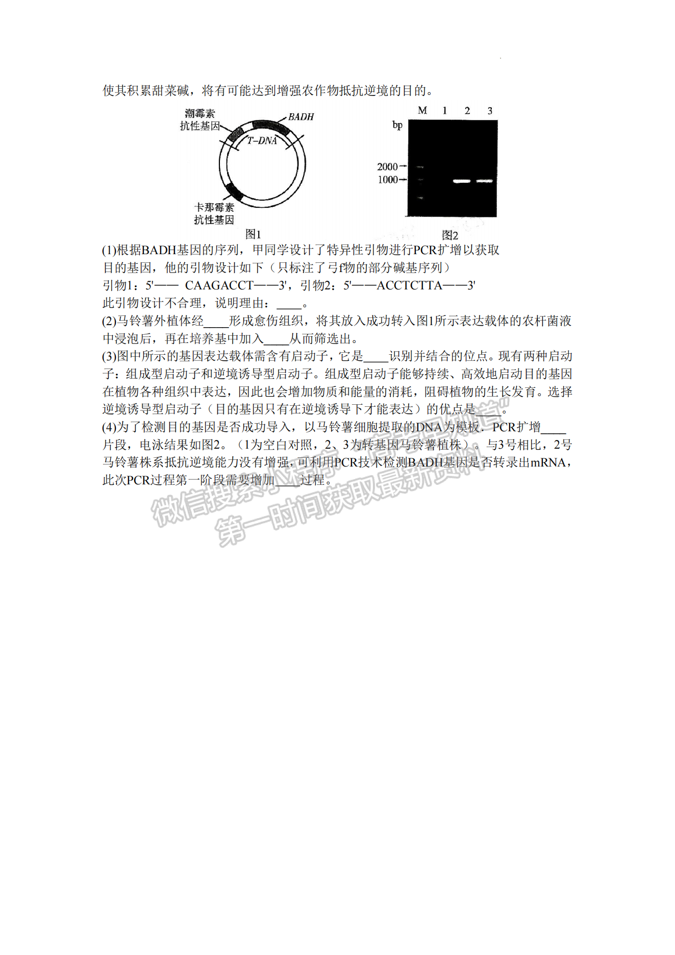 2024福州一檢生物試卷及參考答案