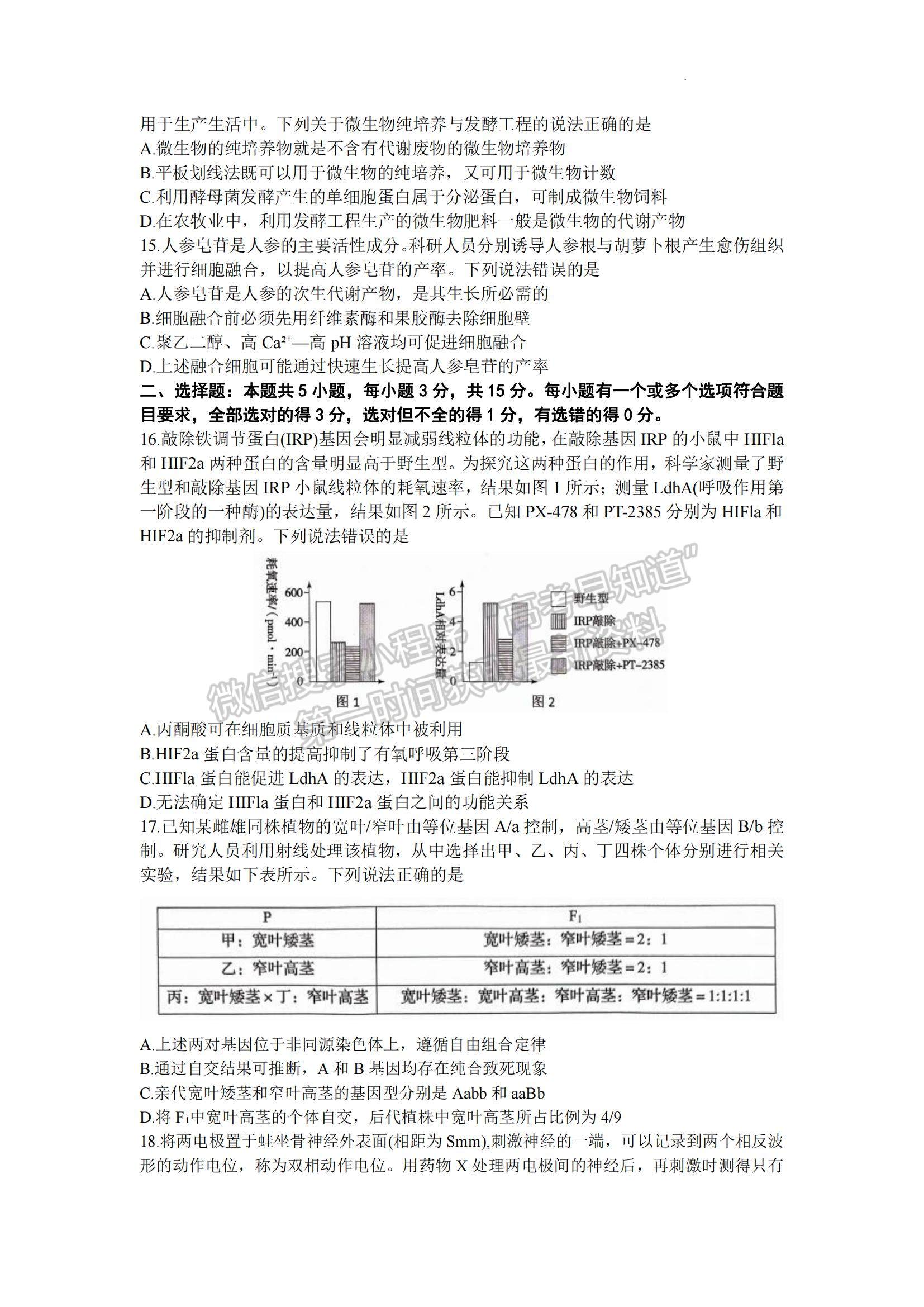 2024届山东省青岛市高三年级期初检测生物试题及参考答案