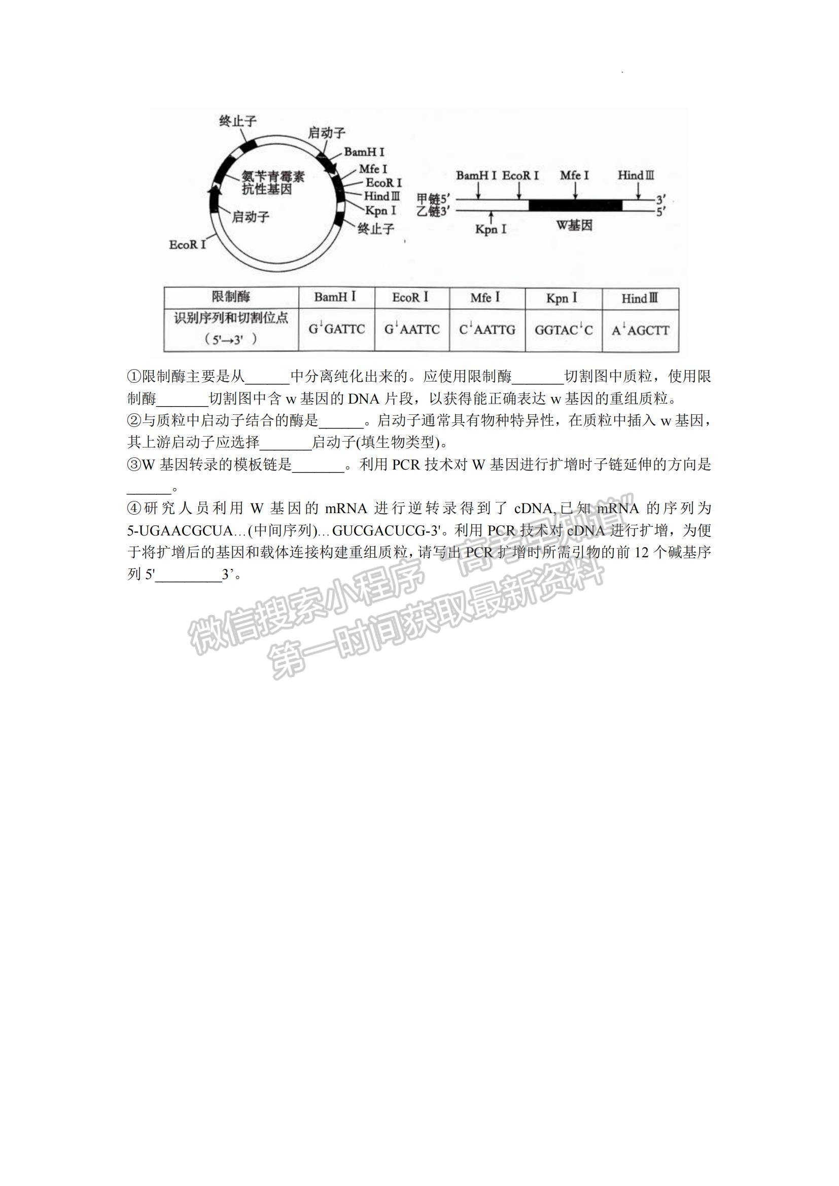 2024屆山東省青島市高三年級(jí)期初檢測(cè)生物試題及參考答案