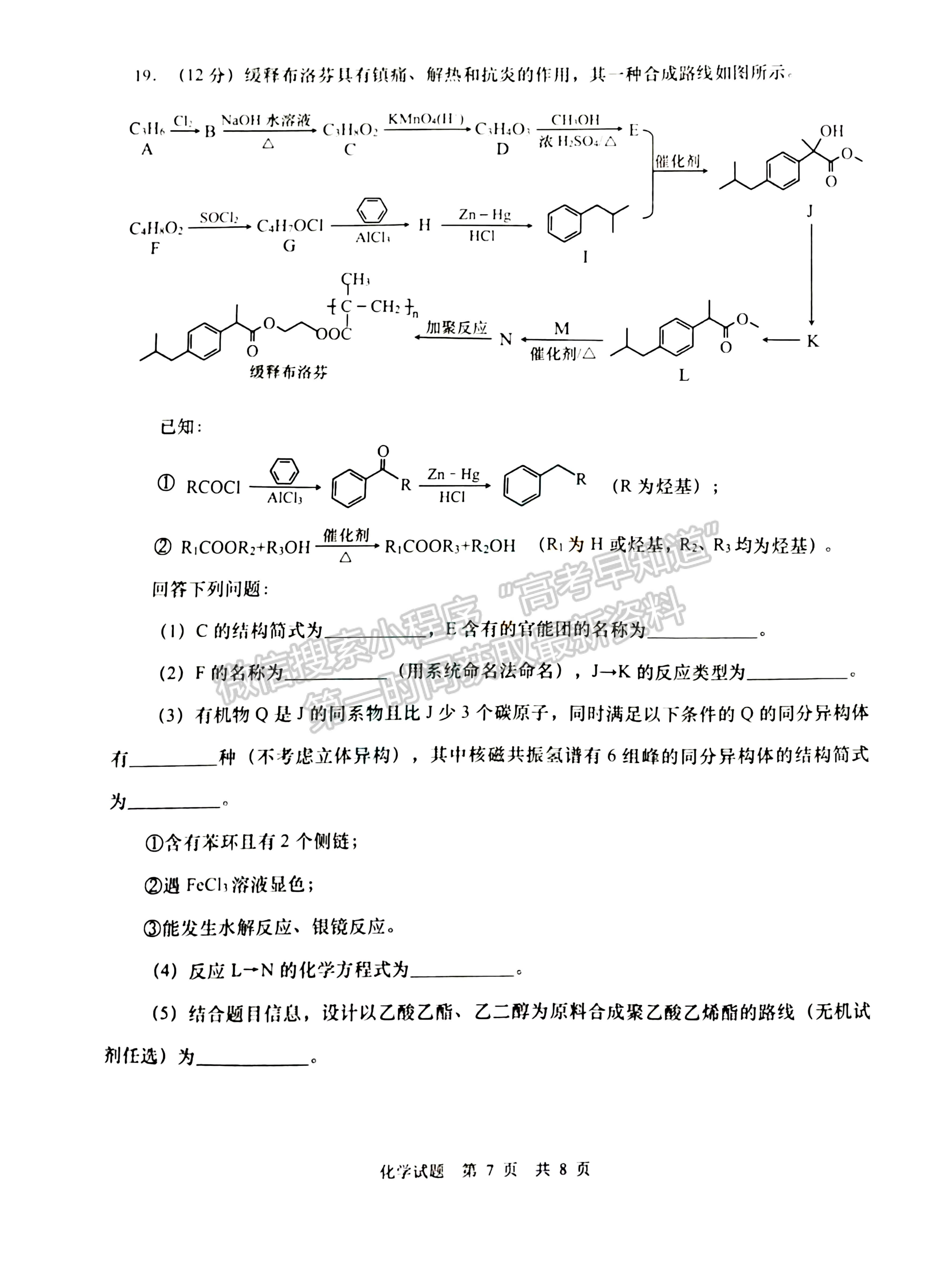  2024屆山東省青島市高三年級期初檢測化學(xué)試題及參考答案