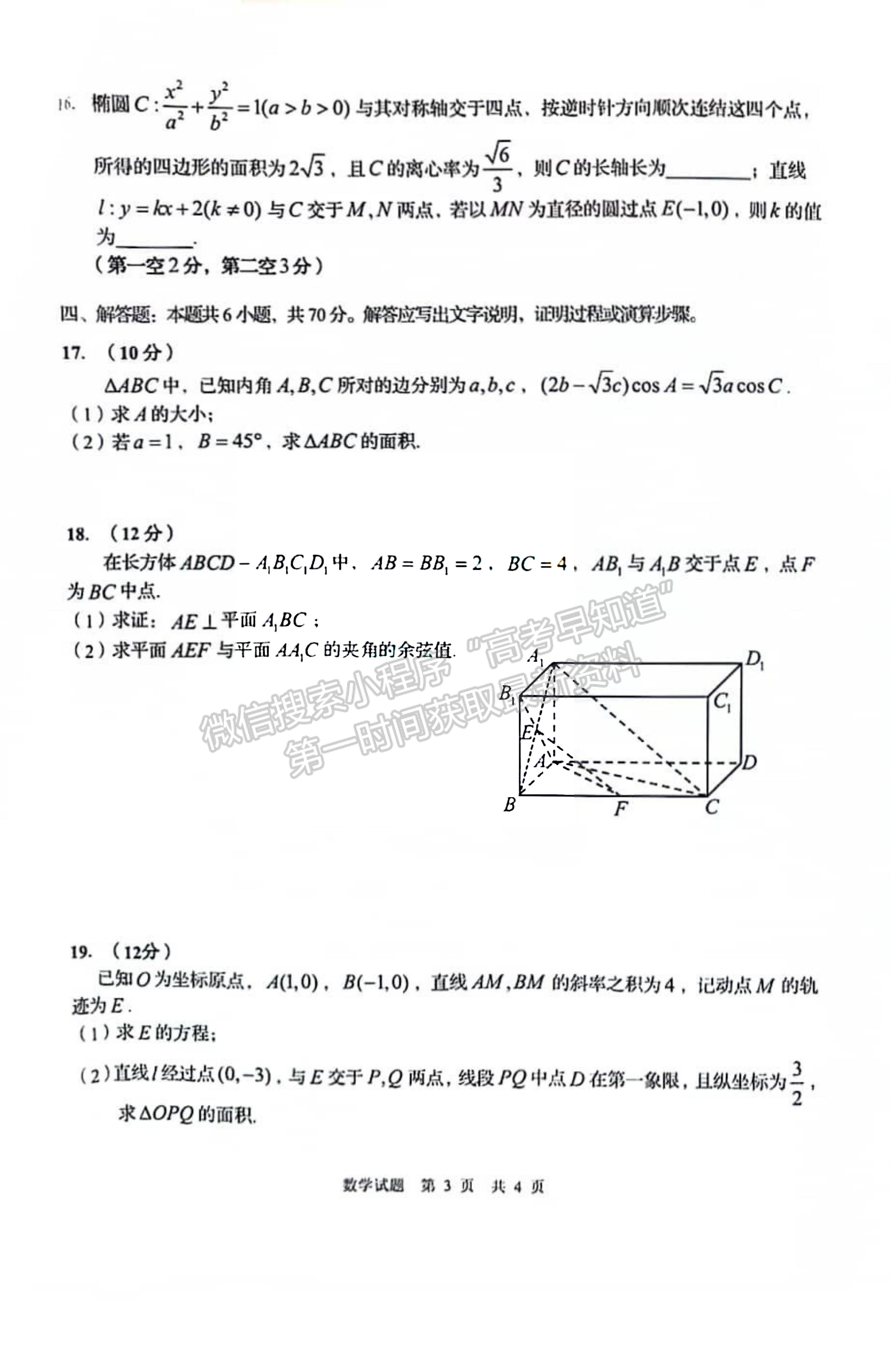 2024屆山東省青島市高三年級期初檢測數(shù)學試題及參考答案