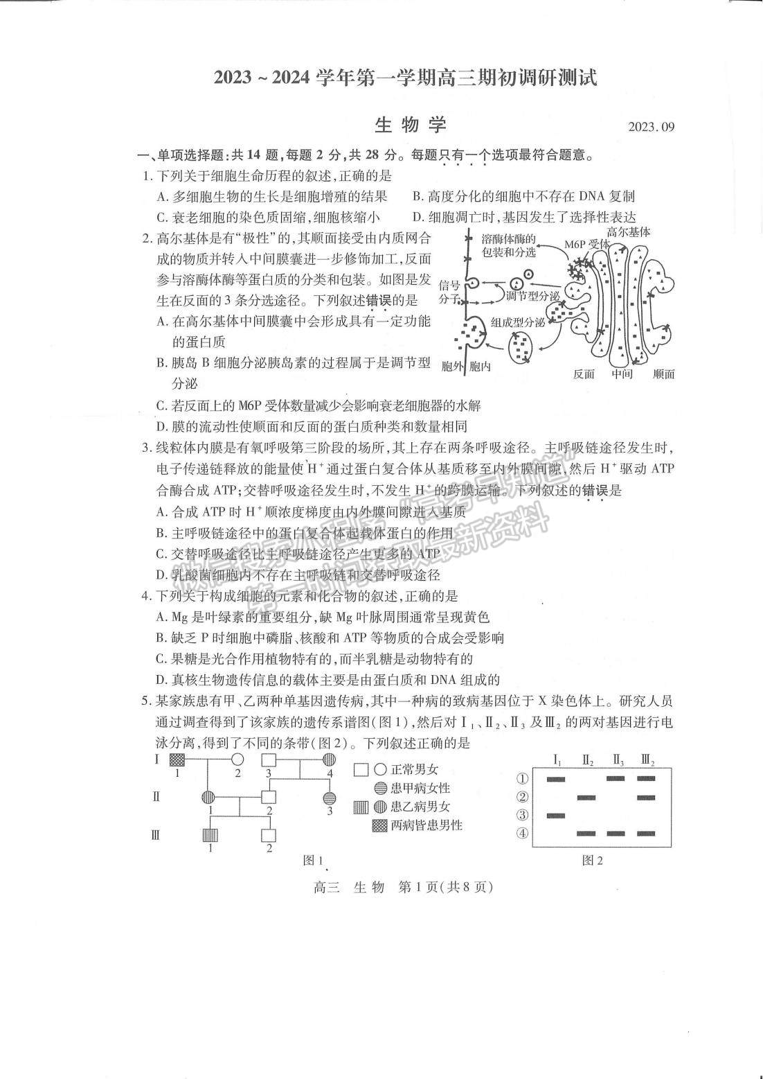 2024屆江蘇省蘇州市高三上學(xué)期期初調(diào)研生物試題及答案