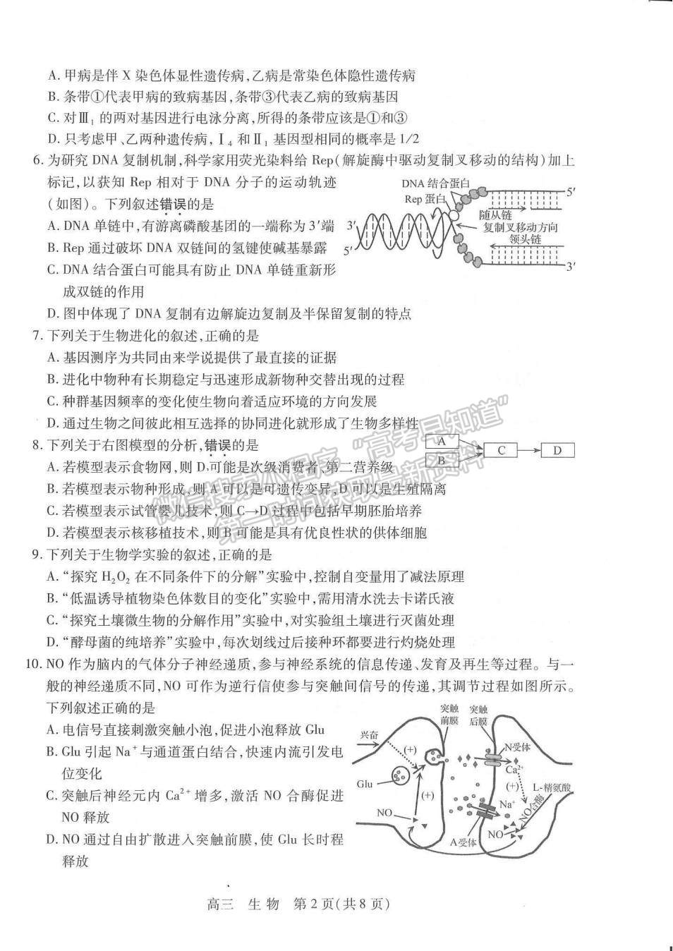 2024届江苏省苏州市高三上学期期初调研生物试题及答案