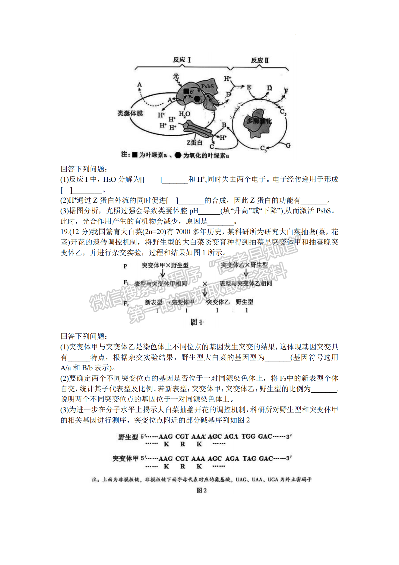 2024漳州一檢生物試卷及參考答案