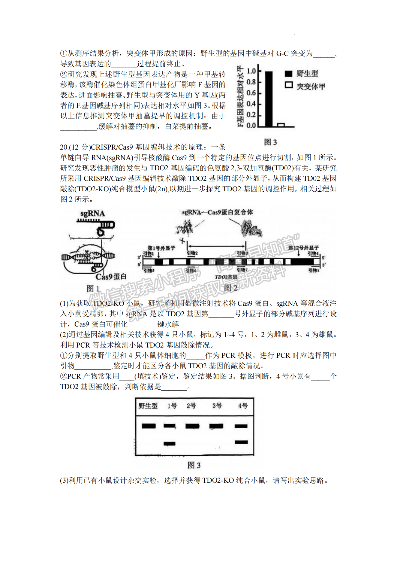 2024漳州一檢生物試卷及參考答案