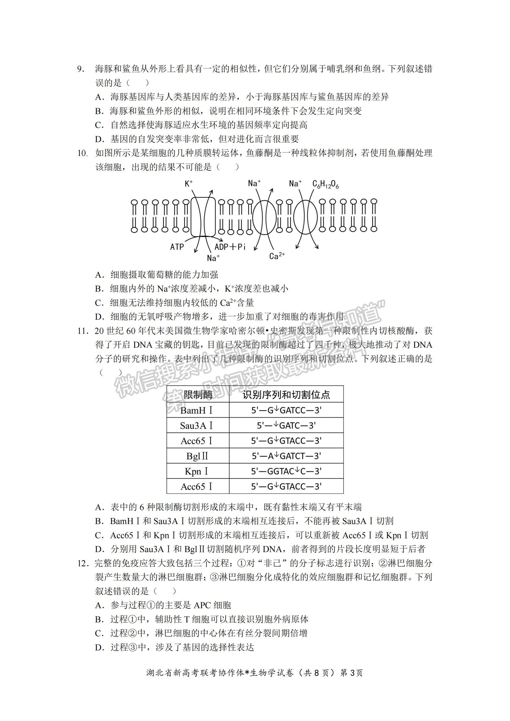 湖北省孝感市高三新高考協(xié)作體9月起點(diǎn)考生物試卷及參考答案