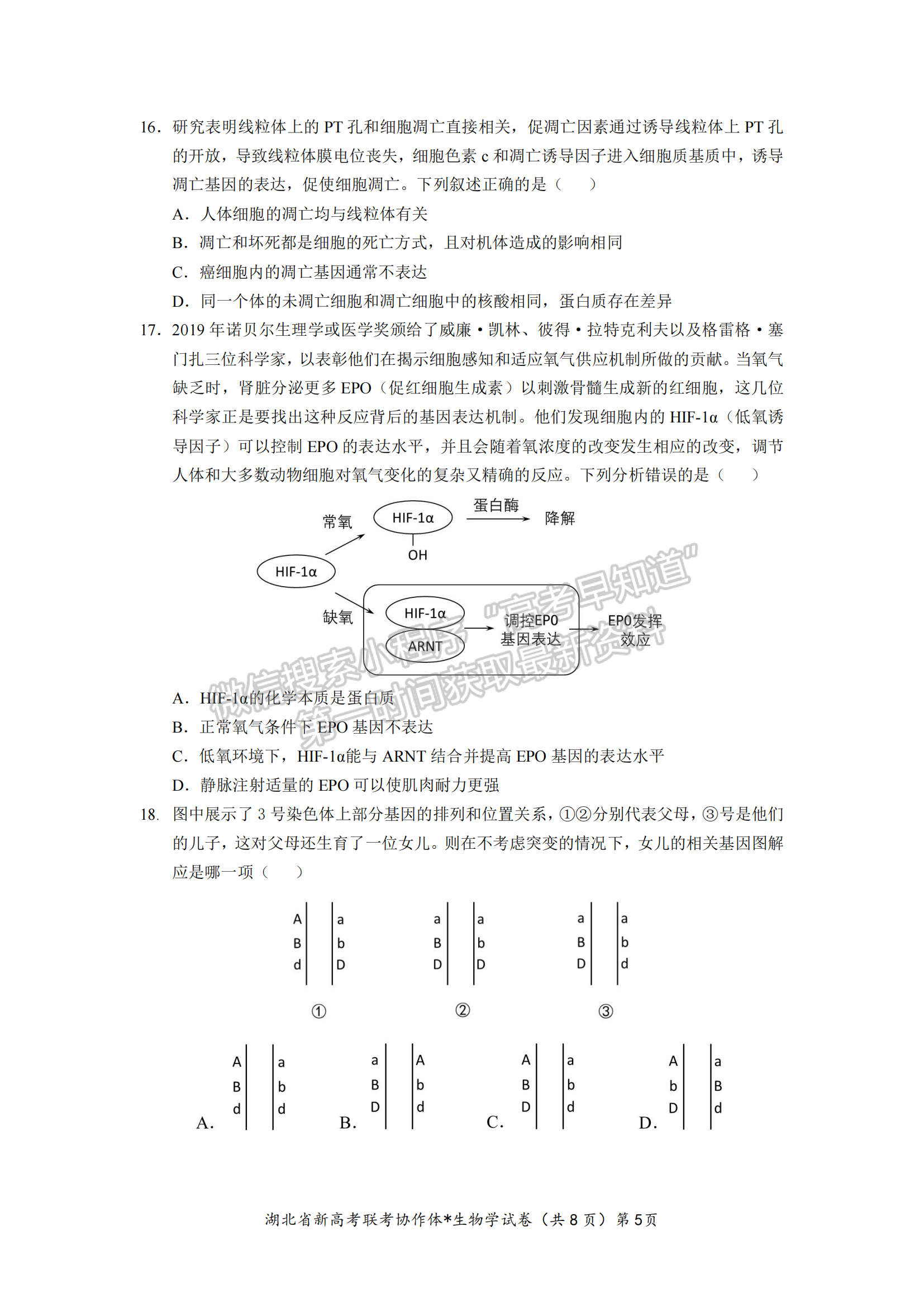 湖北省孝感市高三新高考協(xié)作體9月起點(diǎn)考生物試卷及參考答案