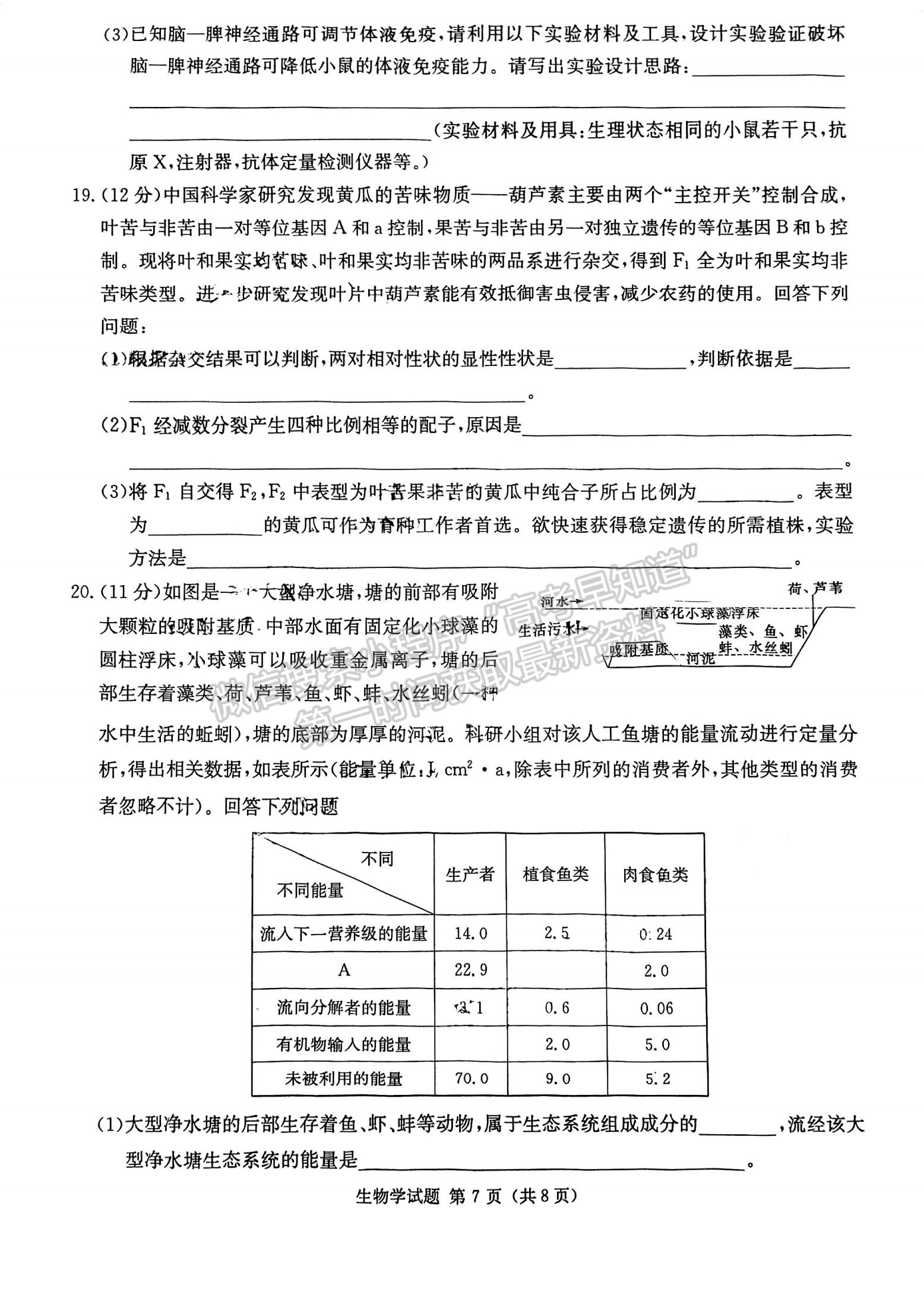 名校聯(lián)考聯(lián)合體2024屆高三第二次聯(lián)考生物試卷及參考答案