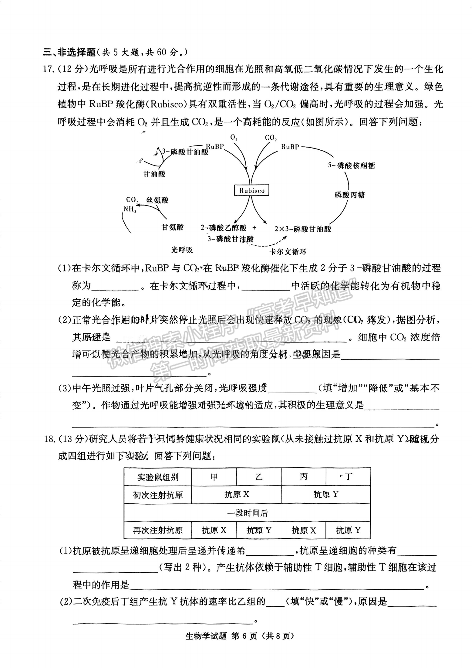 名校聯(lián)考聯(lián)合體2024屆高三第二次聯(lián)考生物試卷及參考答案