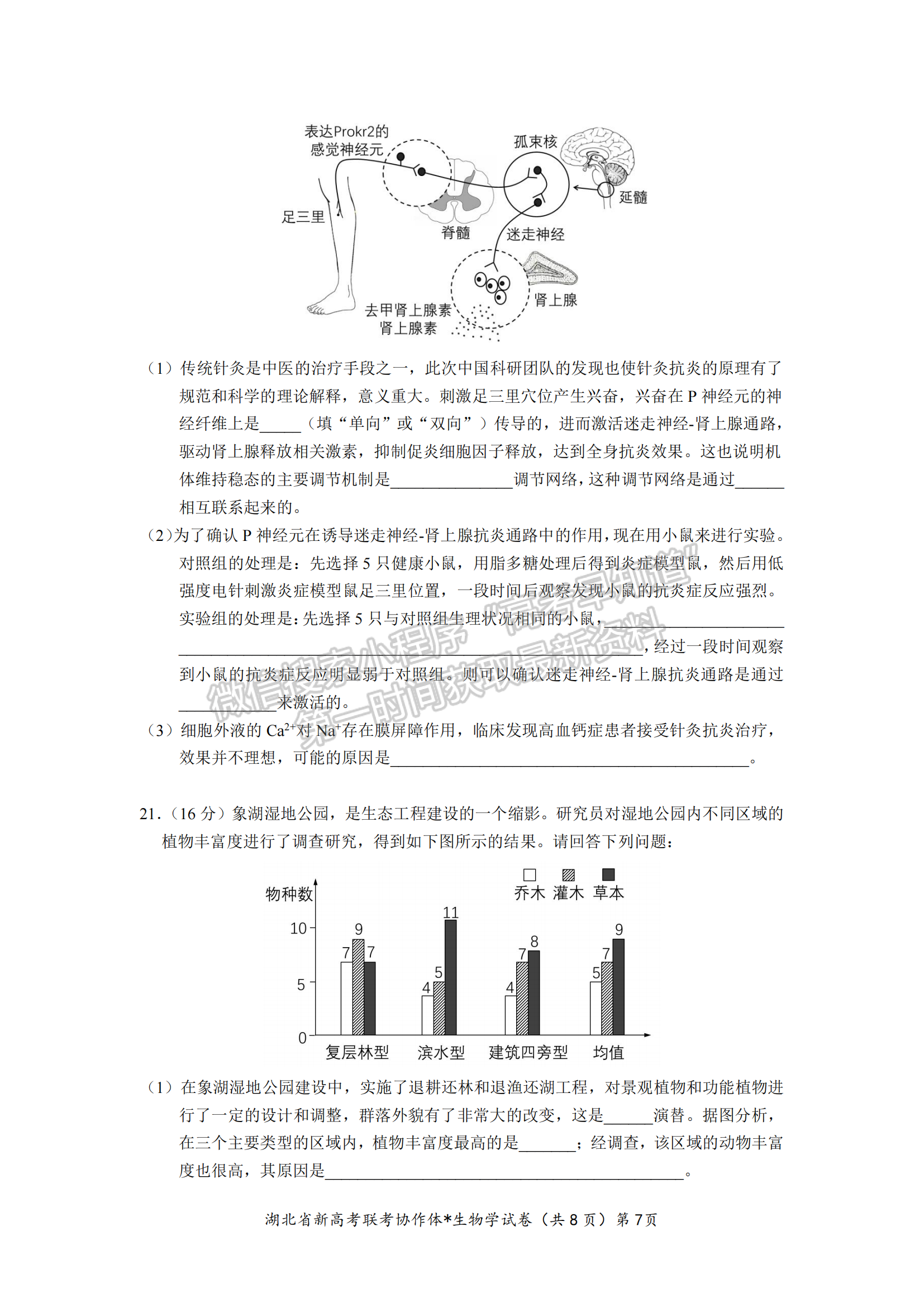 湖北省孝感市高三新高考協(xié)作體9月起點(diǎn)考生物試卷及參考答案