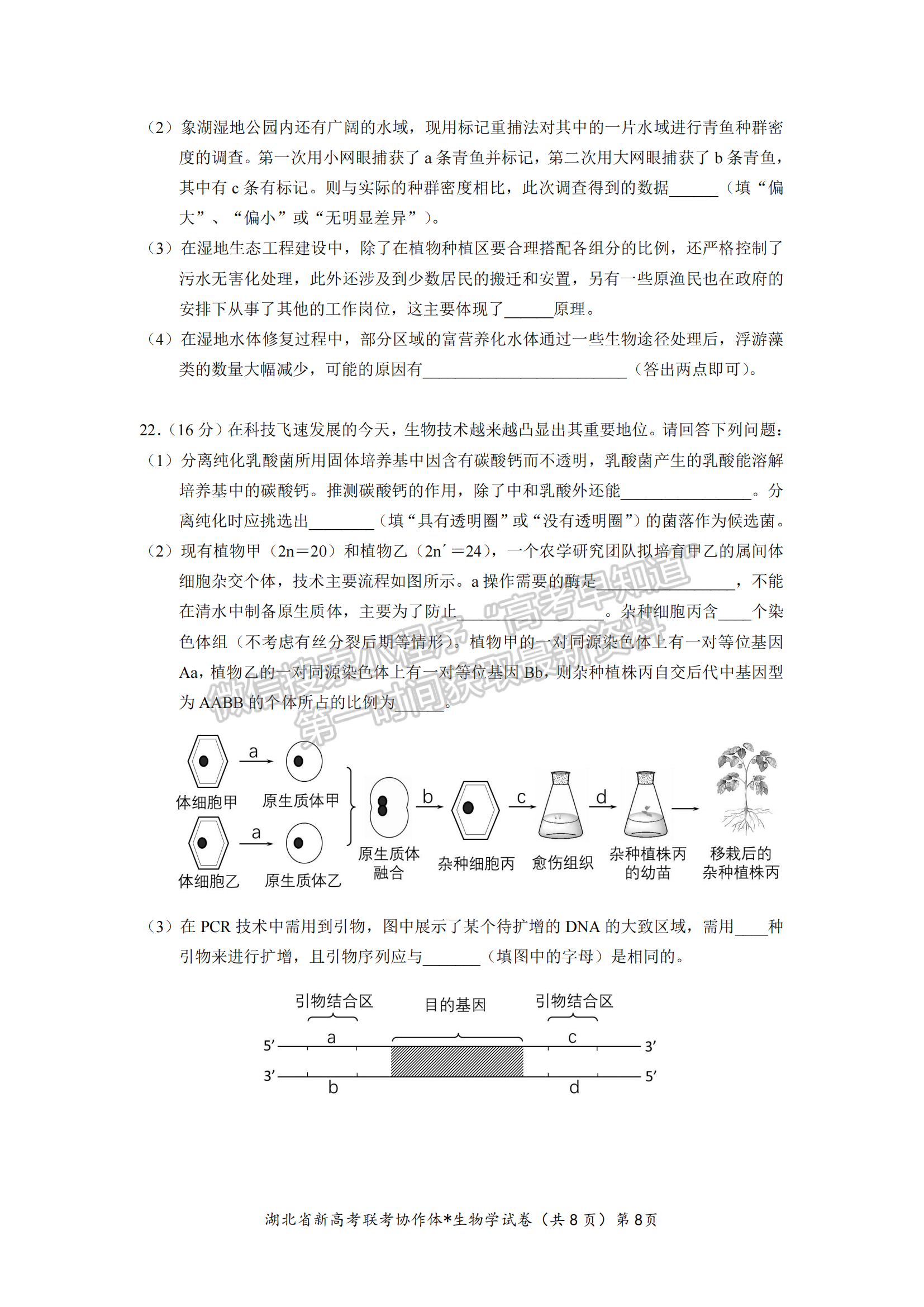 湖北省孝感市高三新高考協(xié)作體9月起點(diǎn)考生物試卷及參考答案