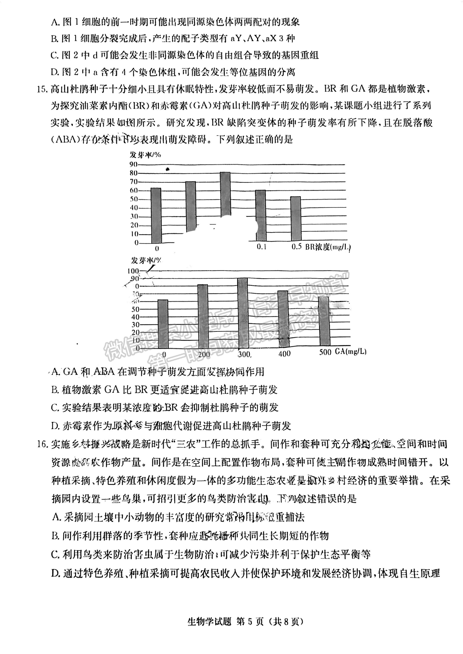 名校聯(lián)考聯(lián)合體2024屆高三第二次聯(lián)考生物試卷及參考答案