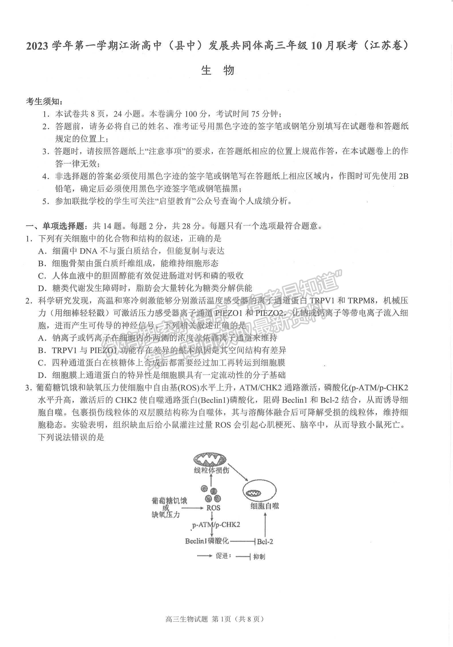 2024屆江浙高中（縣中）發(fā)展共同體高三10月聯(lián)考生物試題及答案