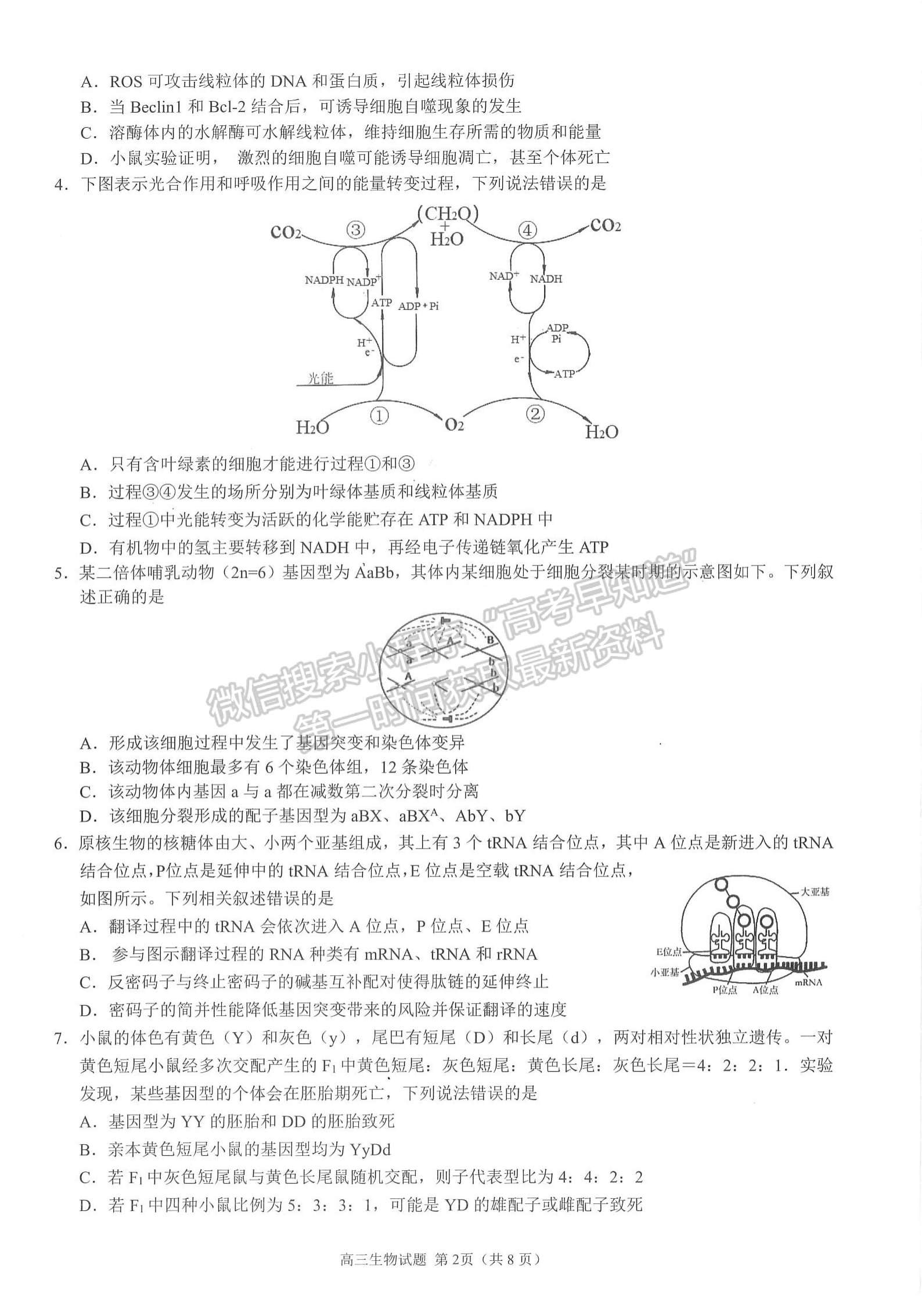 2024届江浙高中（县中）发展共同体高三10月联考生物试题及答案