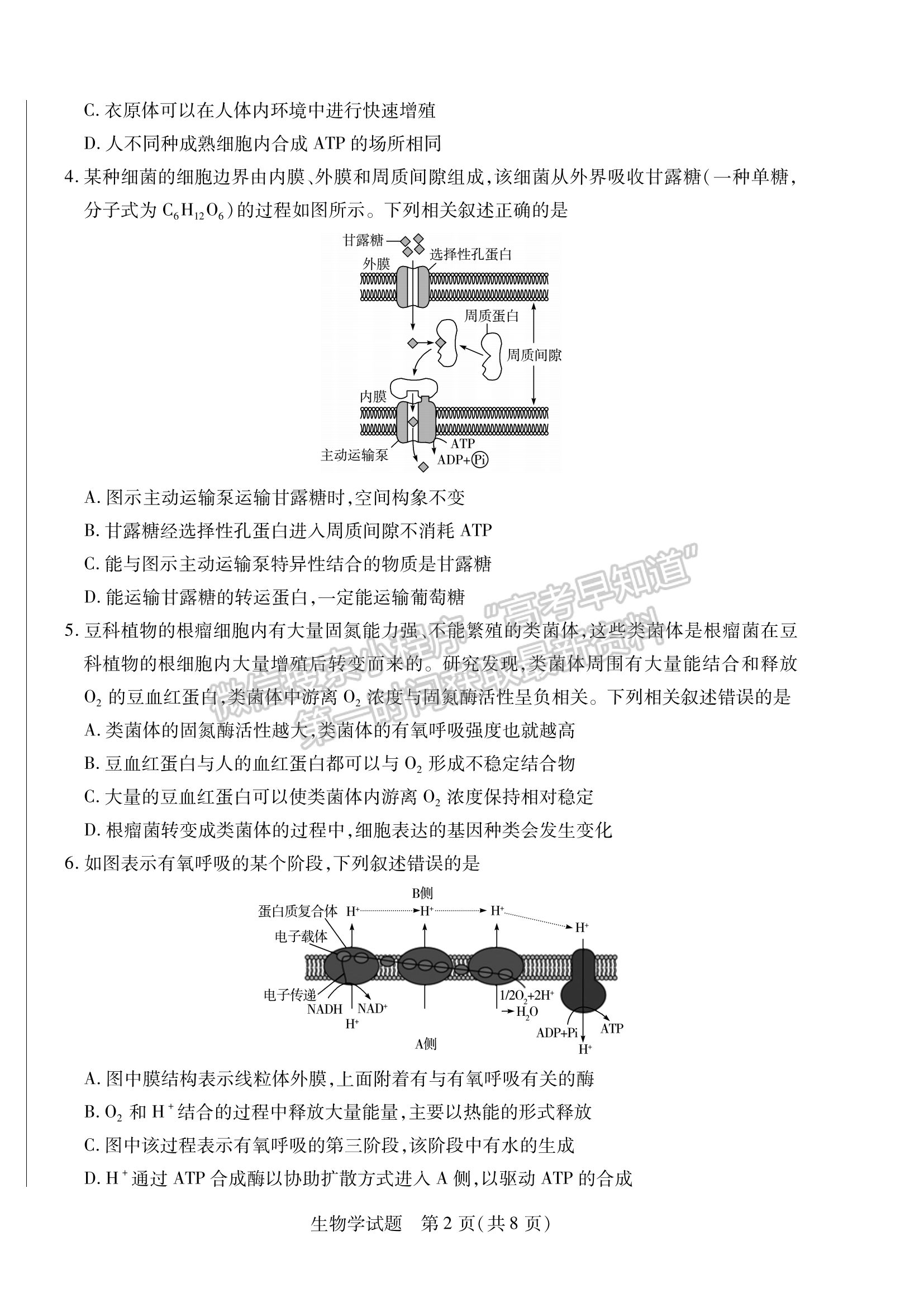 2024安徽名校聯(lián)盟第一次大聯(lián)考生物試卷及答案