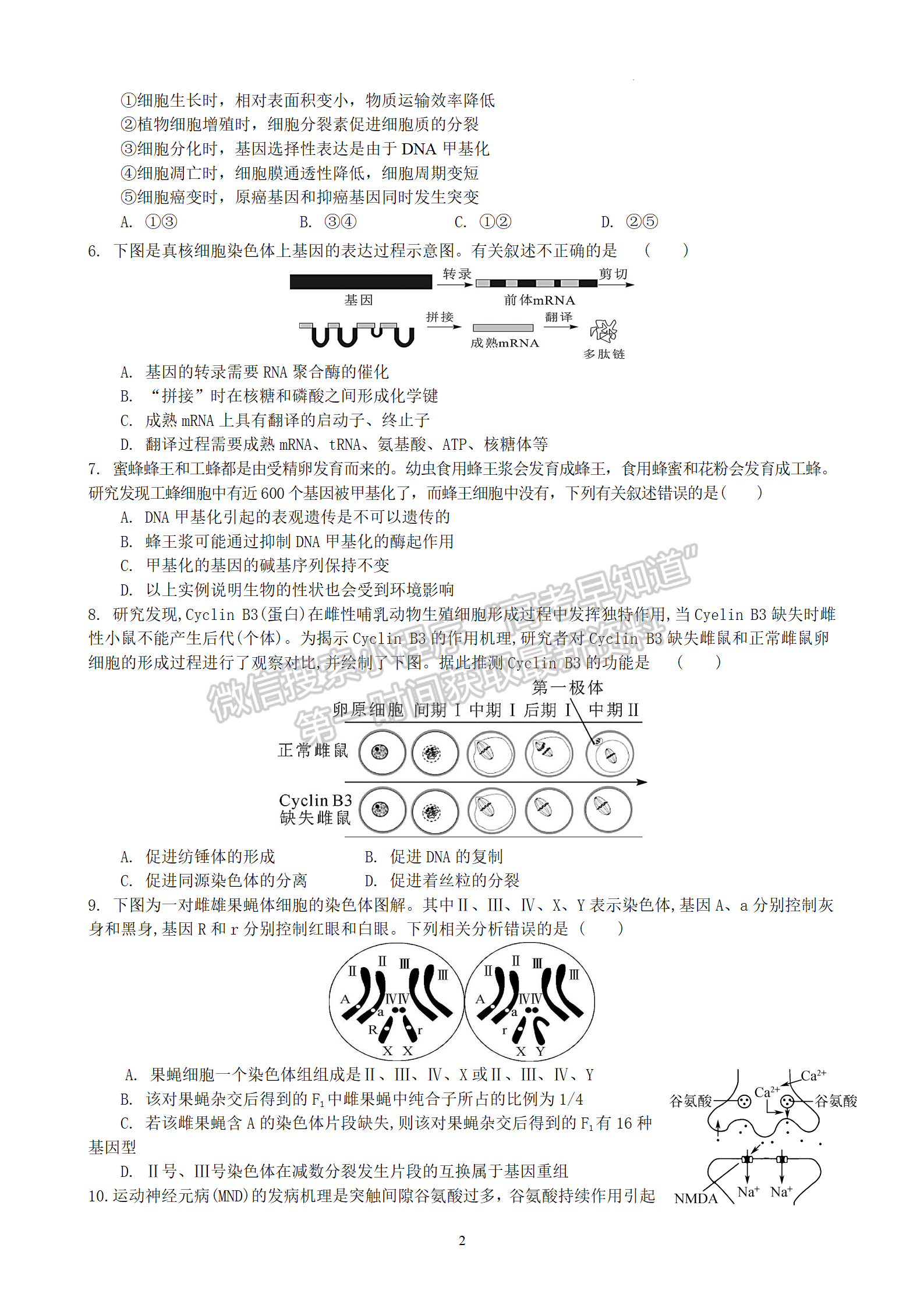 2024届江苏常州市联盟学校高三10月学情调研生物试题及答案