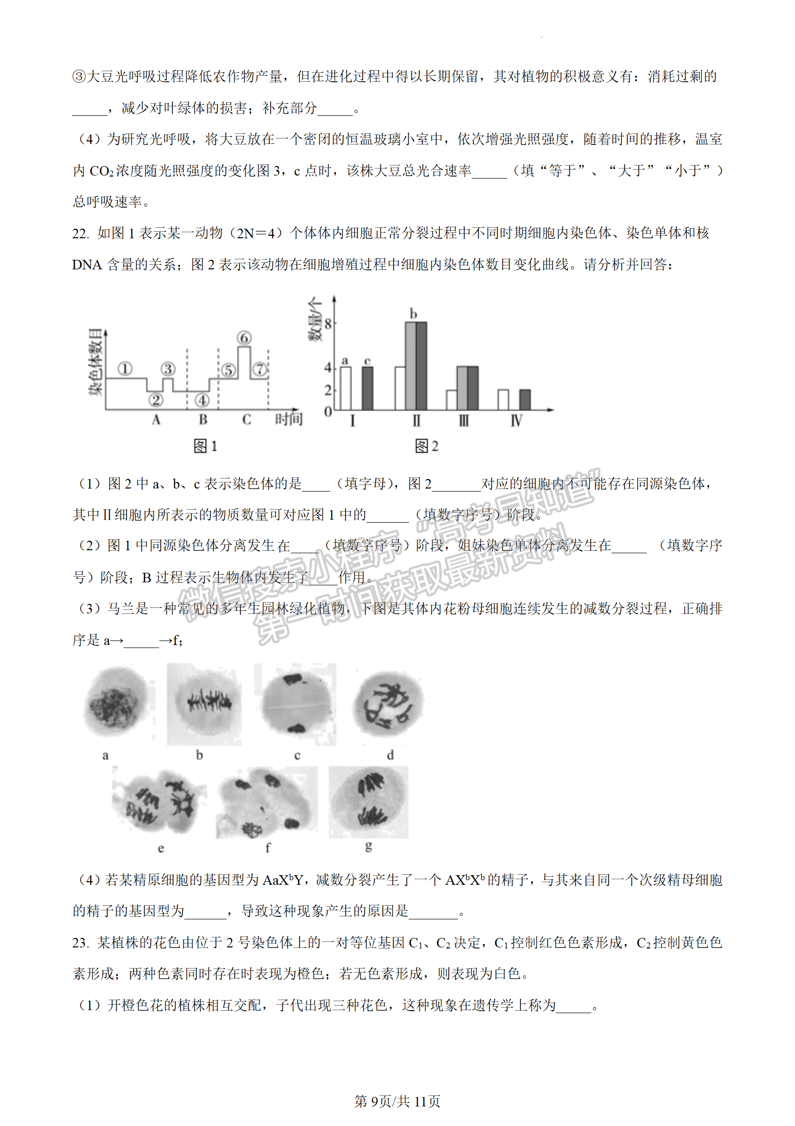 2024屆江蘇省揚州中學高三上學期10月月考生物試題及答案