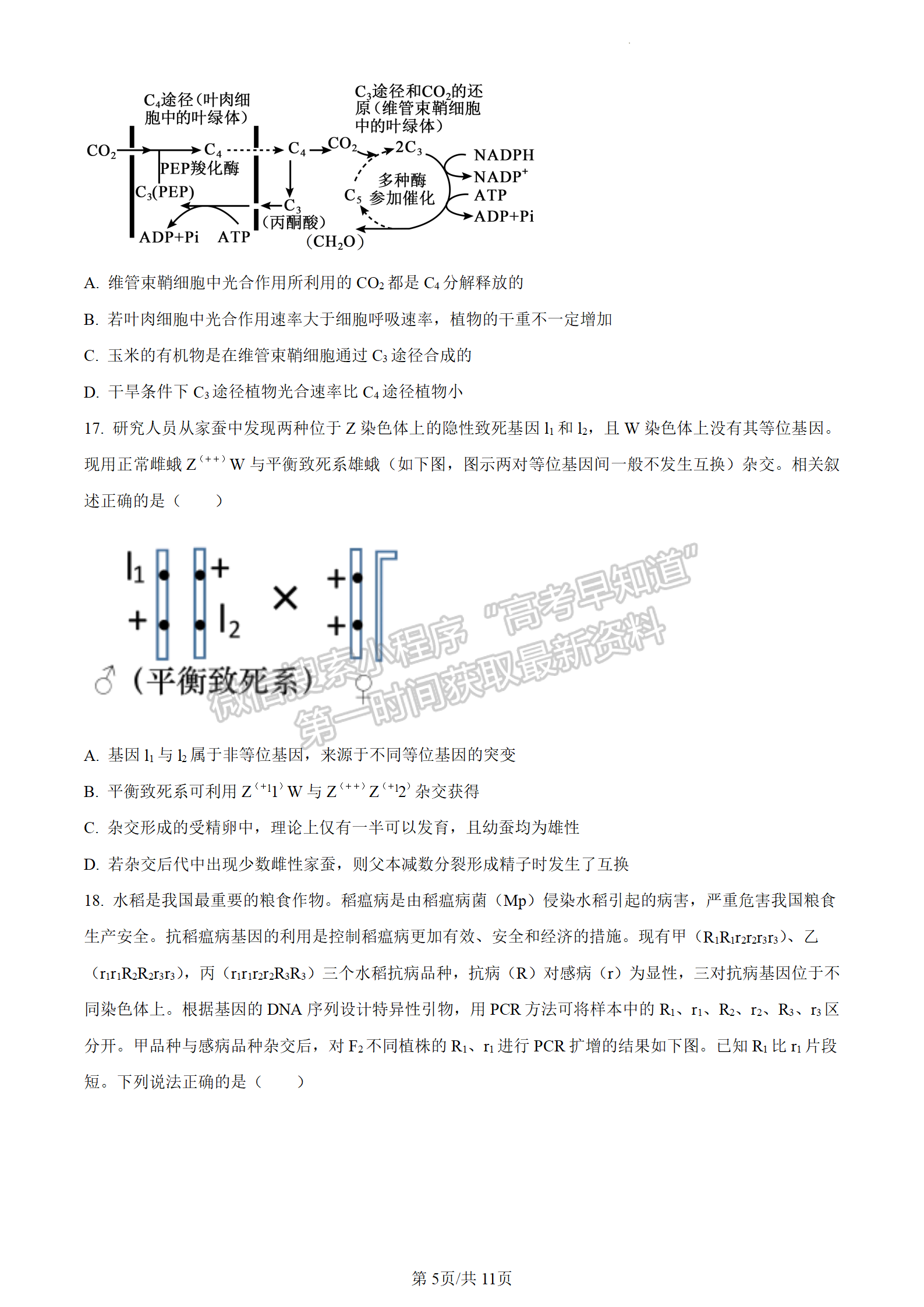 2024屆江蘇省揚(yáng)州中學(xué)高三上學(xué)期10月月考生物試題及答案