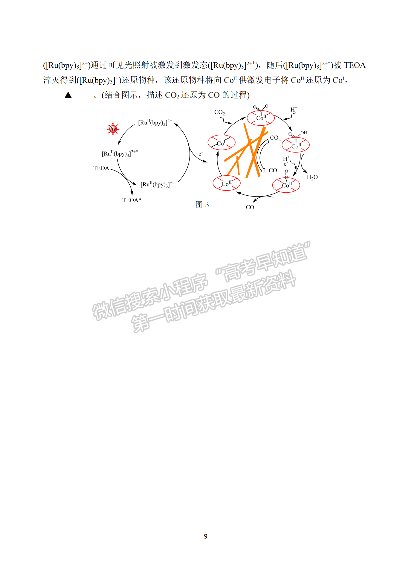 2024屆江蘇省揚(yáng)州中學(xué)高三上學(xué)期10月月考化學(xué)試題及答案