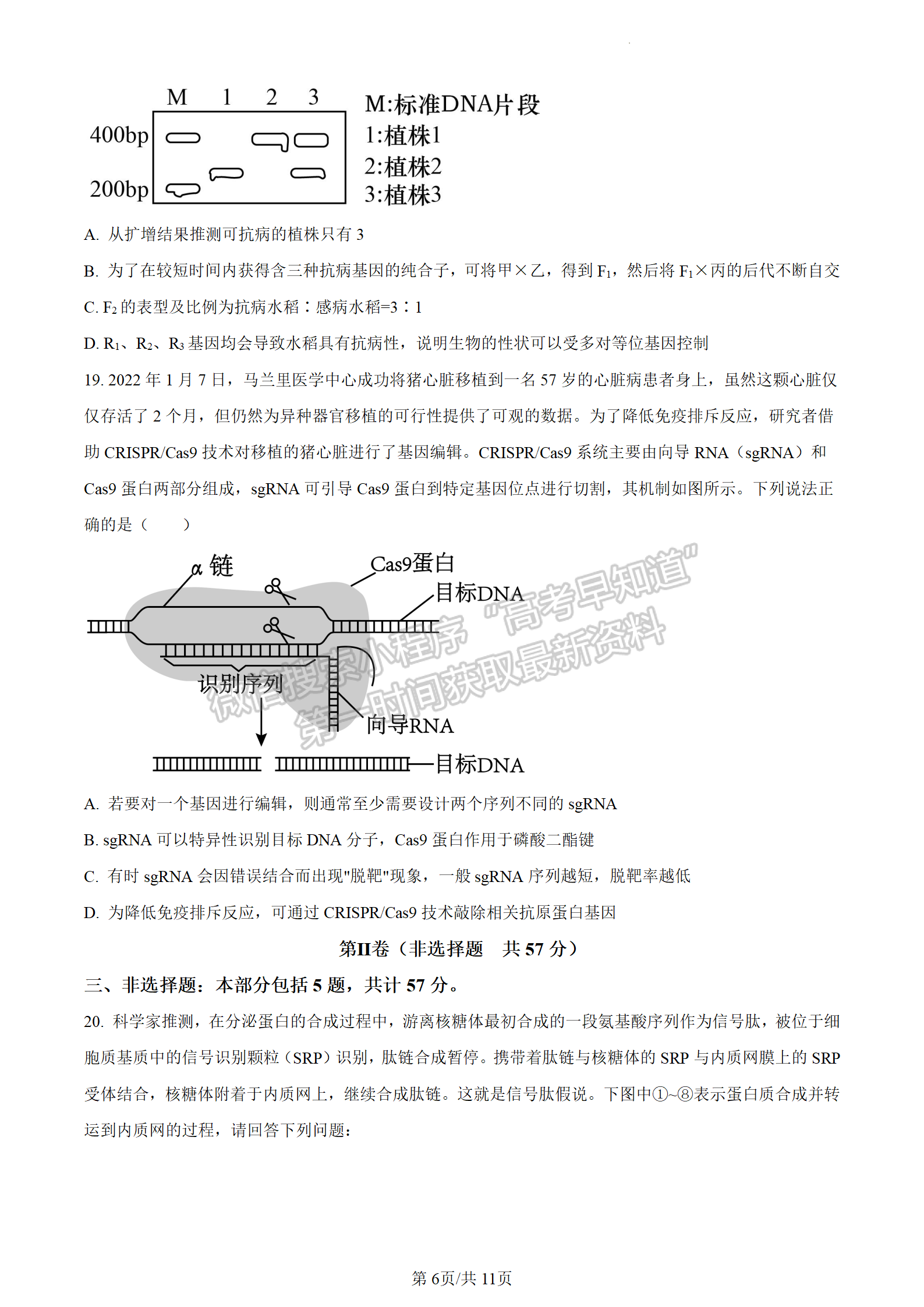 2024屆江蘇省揚(yáng)州中學(xué)高三上學(xué)期10月月考生物試題及答案