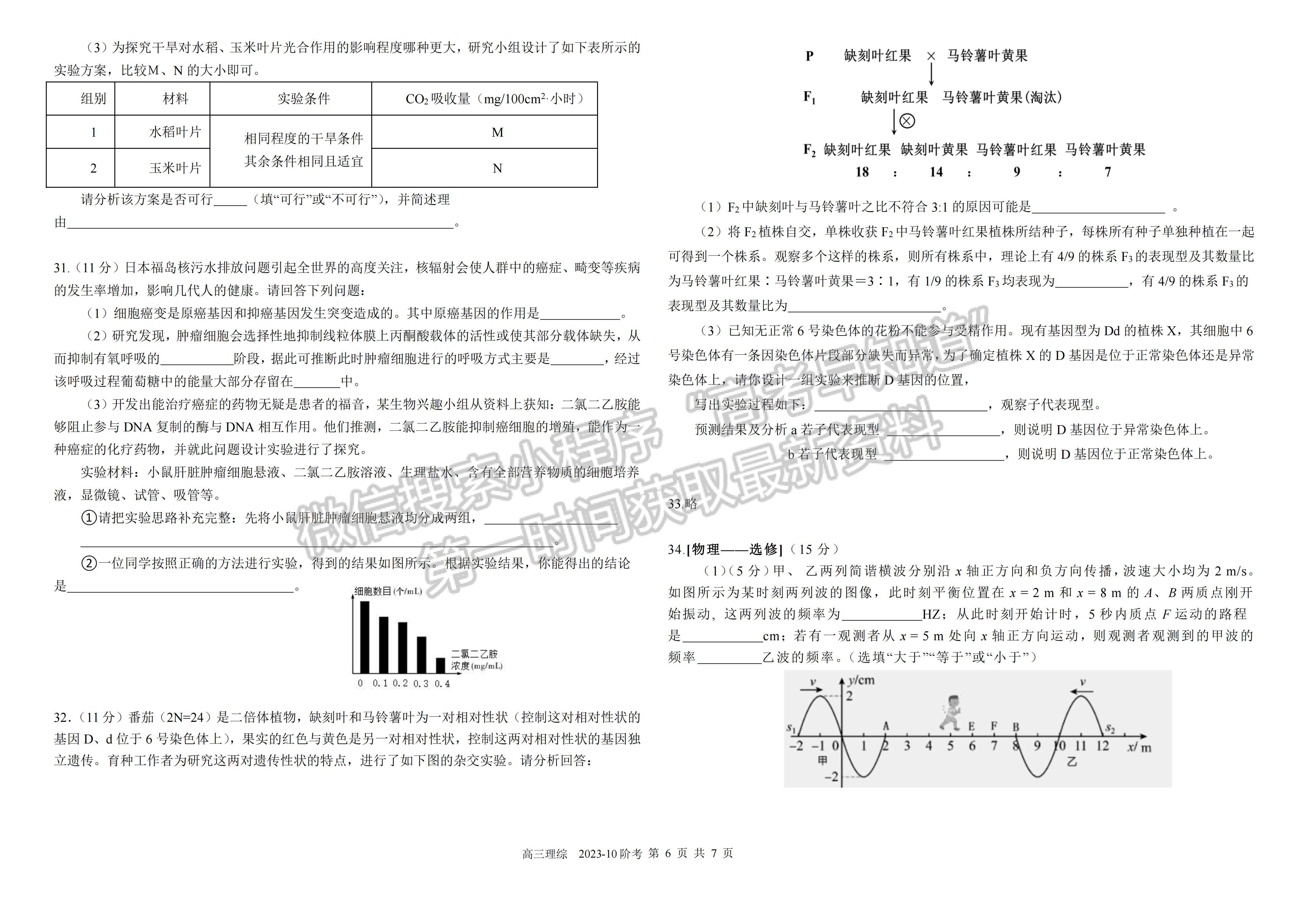 ??2024四川省樹(shù)德中學(xué)高2021級(jí)高三上學(xué)期10月階段性測(cè)試?yán)砜凭C合試題及答案