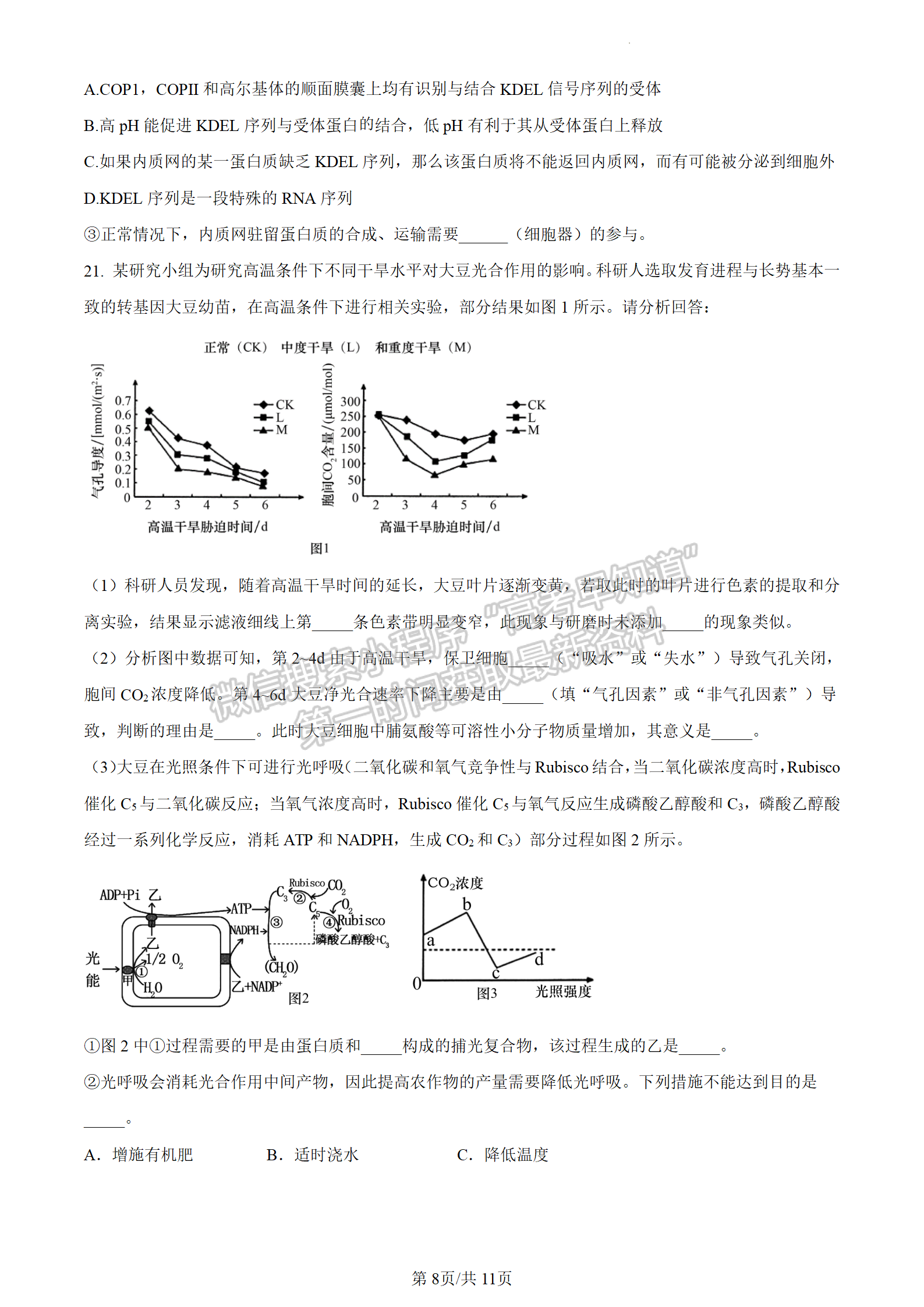 2024屆江蘇省揚州中學高三上學期10月月考生物試題及答案