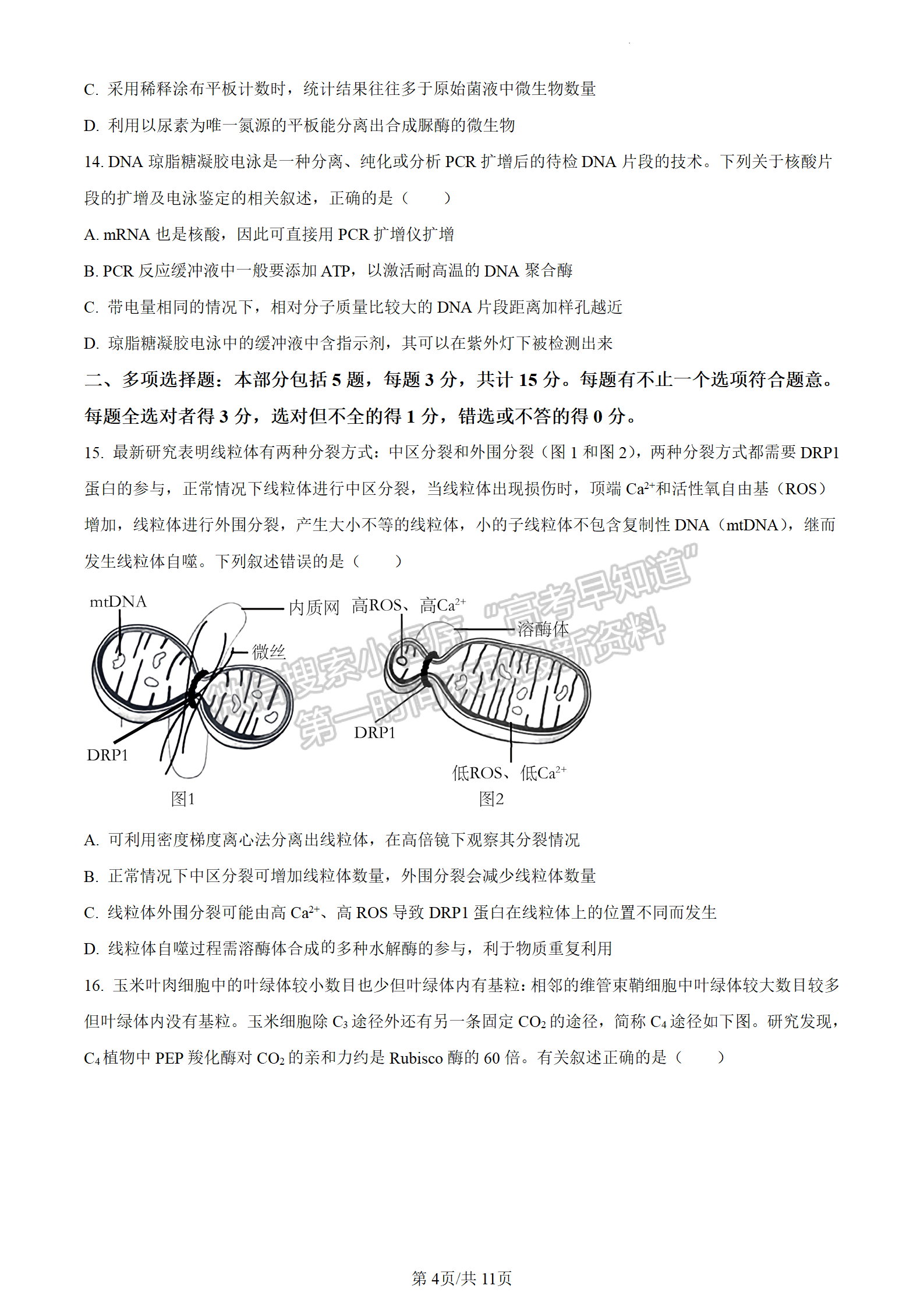 2024屆江蘇省揚州中學高三上學期10月月考生物試題及答案