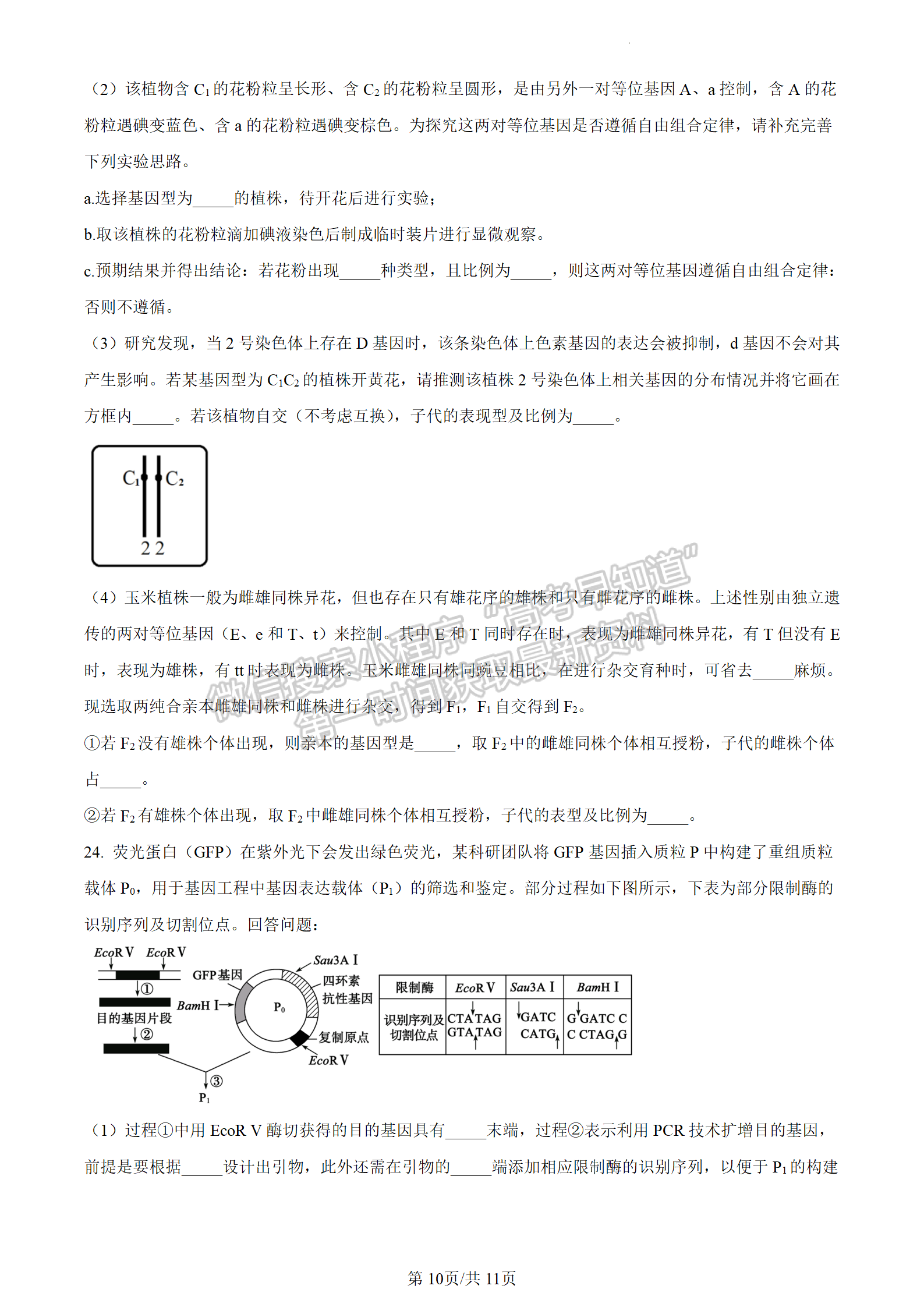 2024屆江蘇省揚州中學(xué)高三上學(xué)期10月月考生物試題及答案