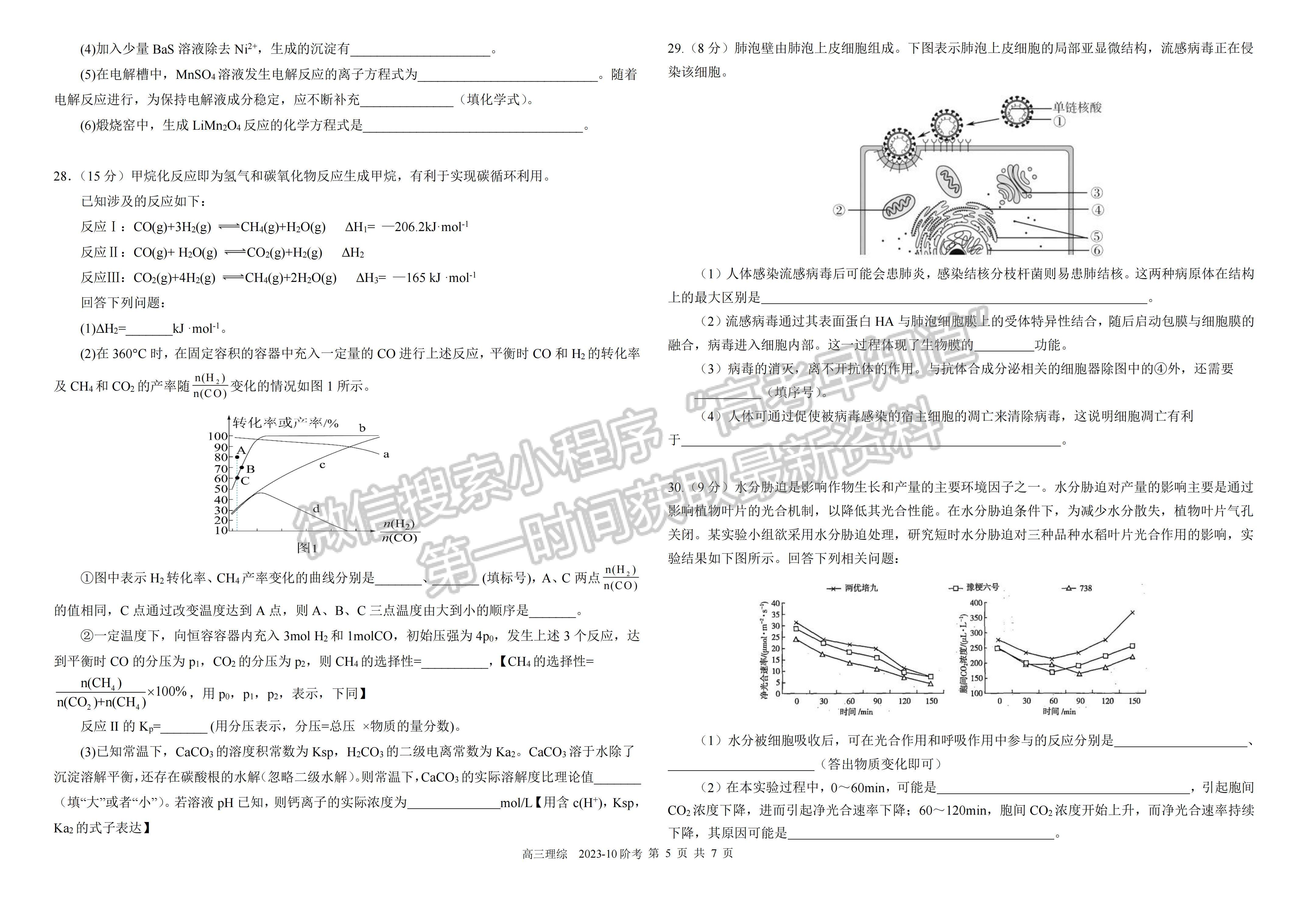 ??2024四川省樹(shù)德中學(xué)高2021級(jí)高三上學(xué)期10月階段性測(cè)試?yán)砜凭C合試題及答案