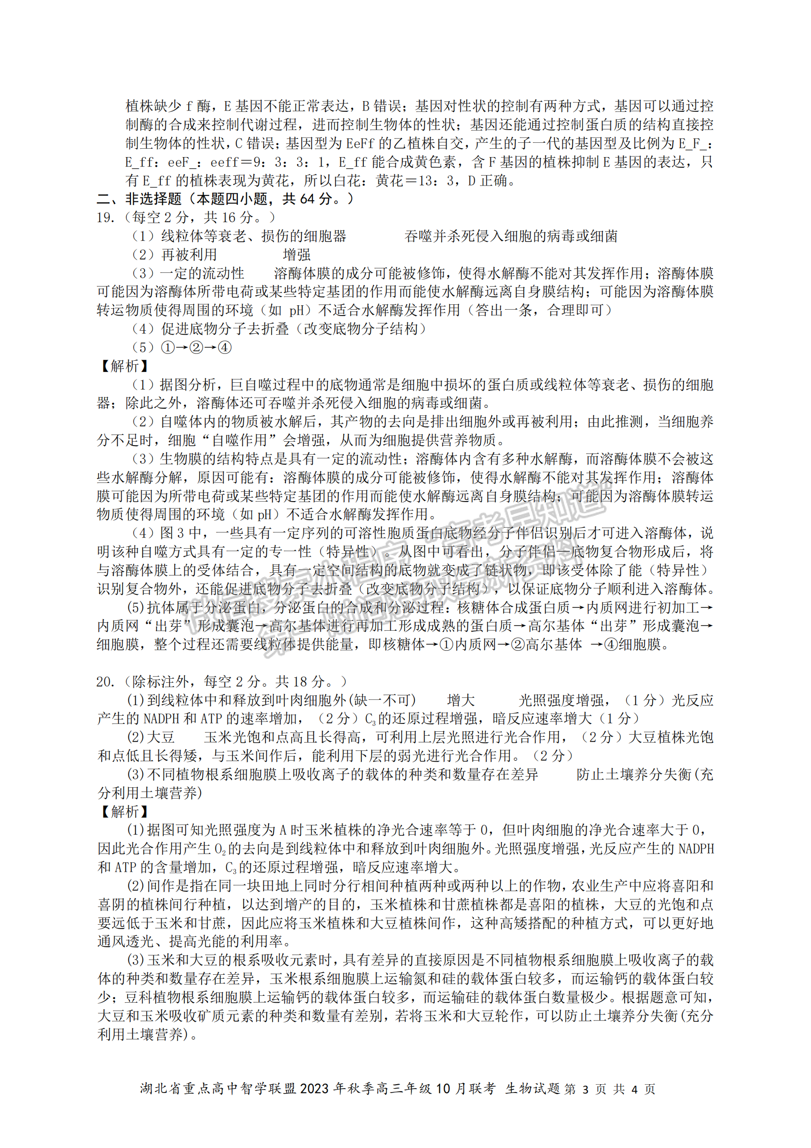 2023学年湖北重点中学智学联盟高三10月联考生物试卷及答案