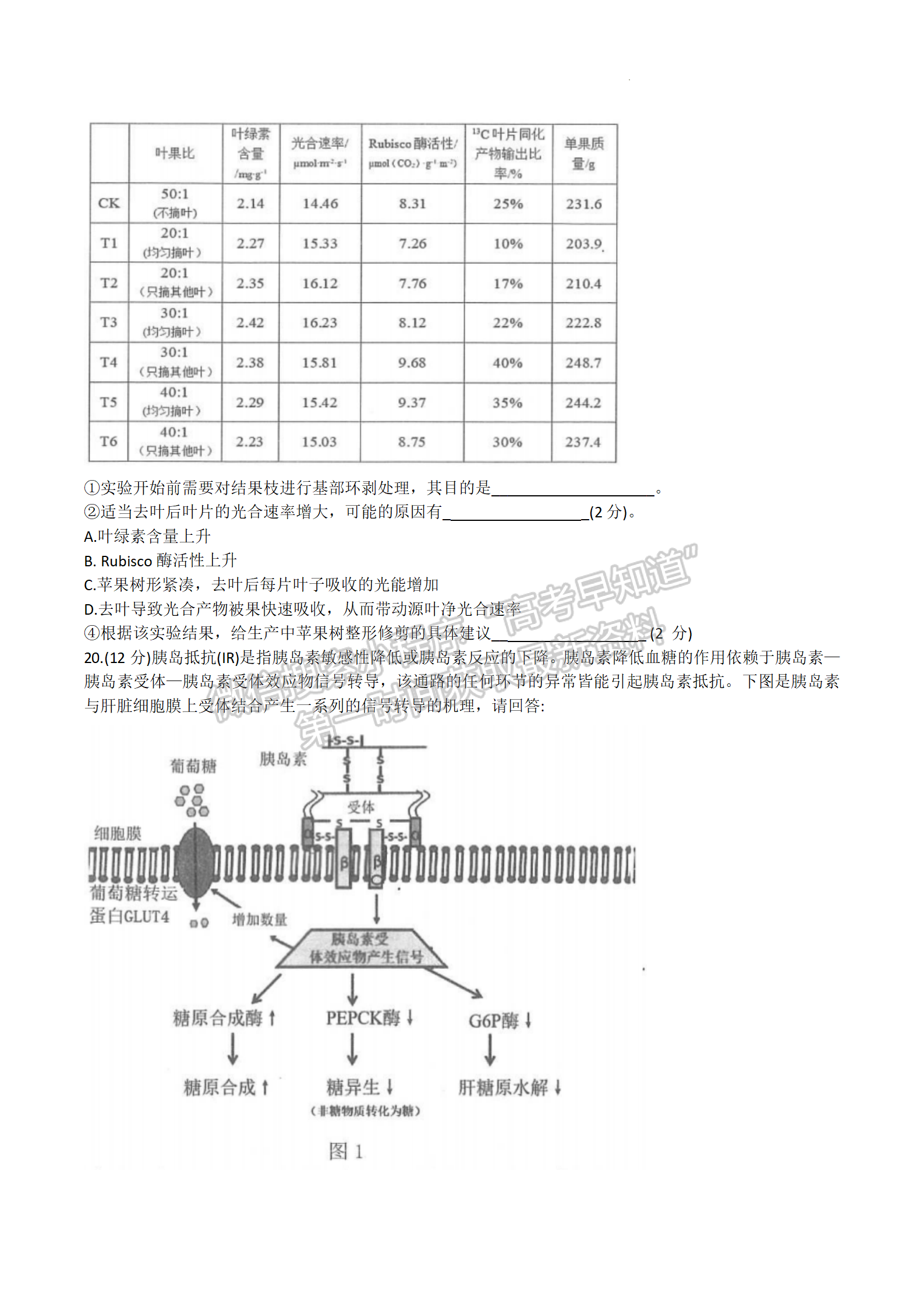 2024屆江蘇高三決勝新高考10月大聯(lián)考生物試題及答案