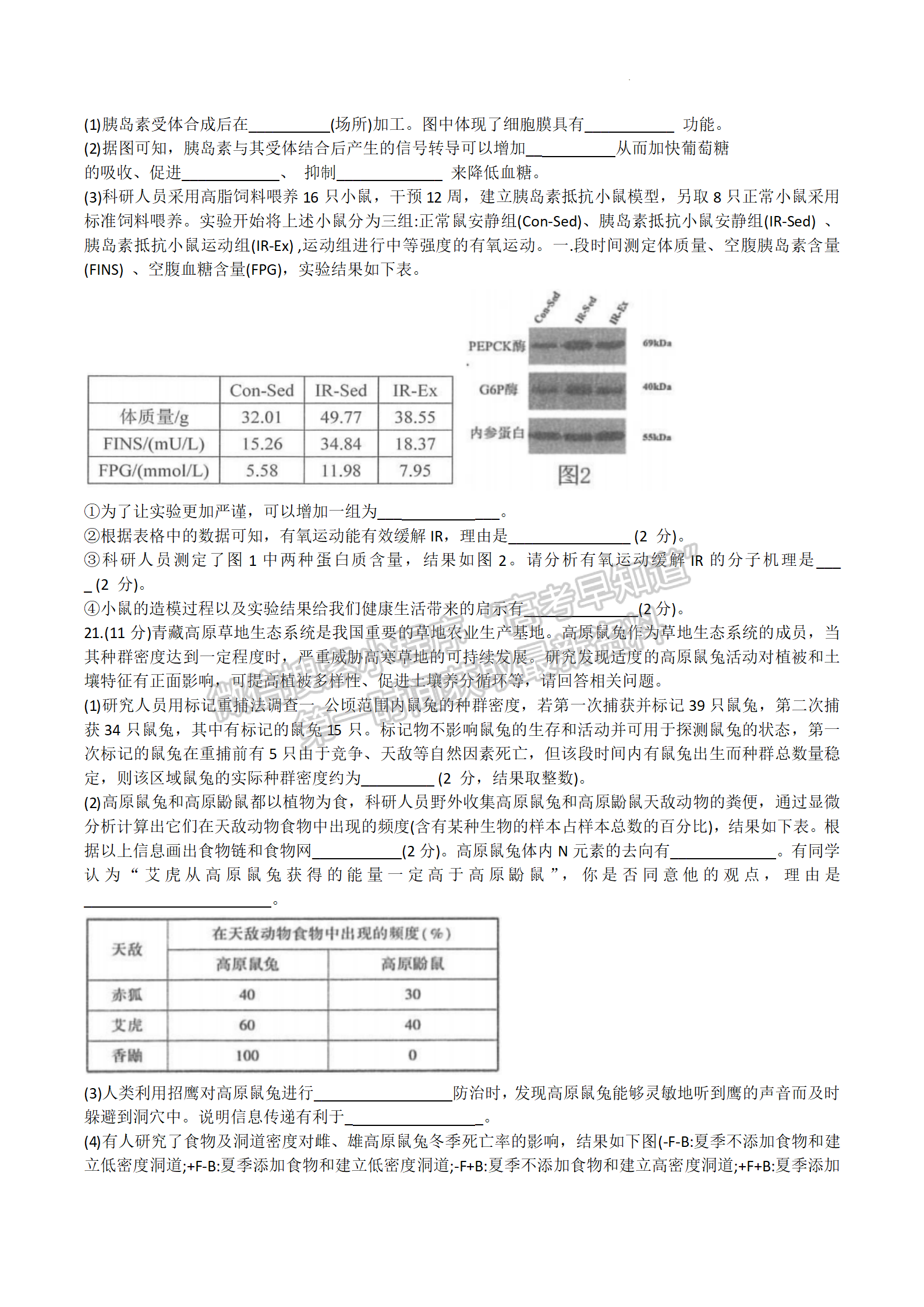 2024屆江蘇高三決勝新高考10月大聯(lián)考生物試題及答案