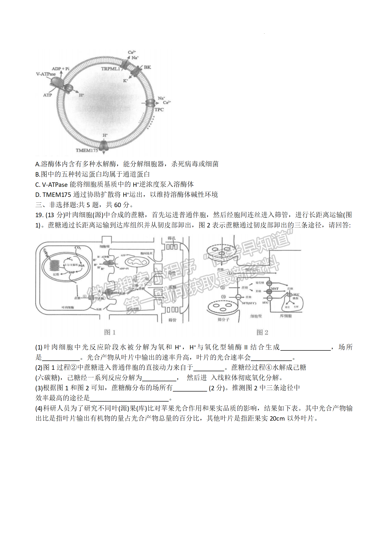 2024屆江蘇高三決勝新高考10月大聯(lián)考生物試題及答案