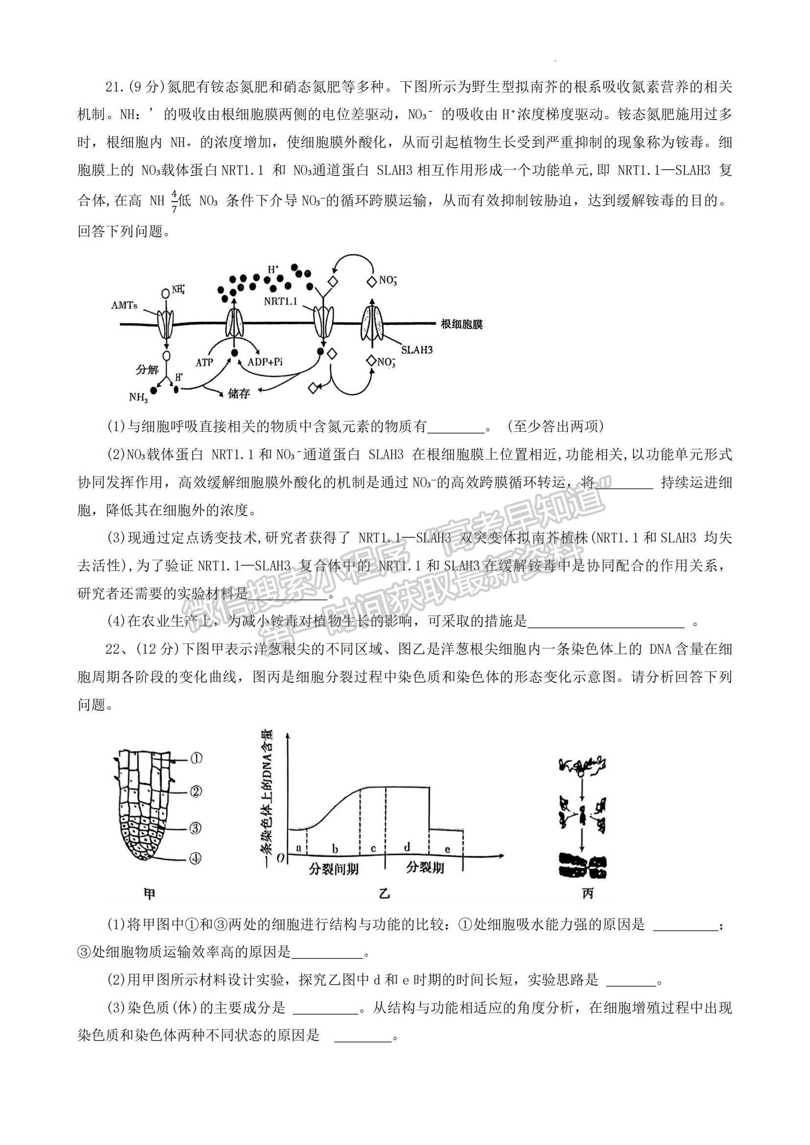 2024河南省平許濟(jì)洛高三第一次質(zhì)量檢測(cè)生物試題及參考答案