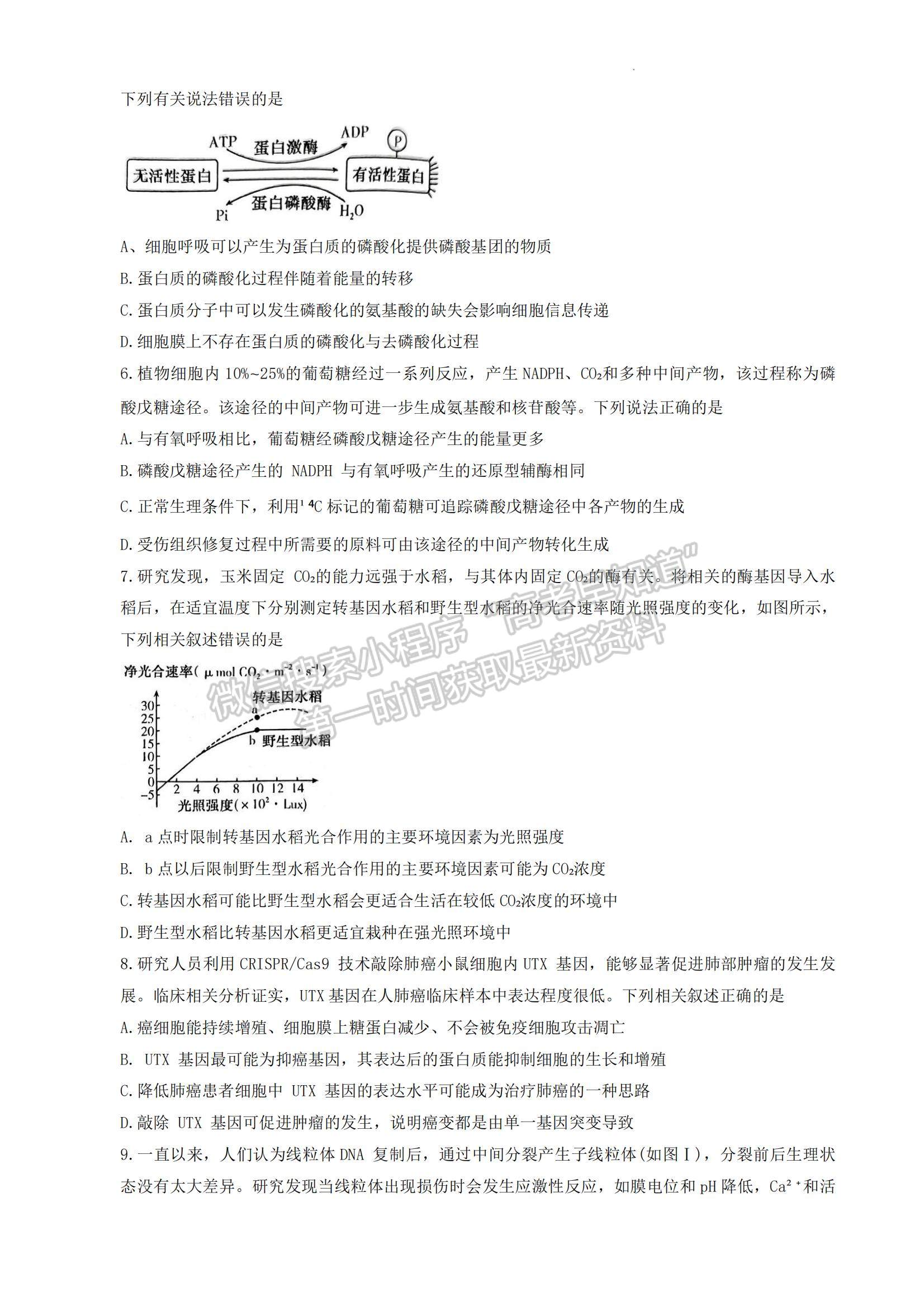 2024河南省平許濟(jì)洛高三第一次質(zhì)量檢測(cè)生物試題及參考答案