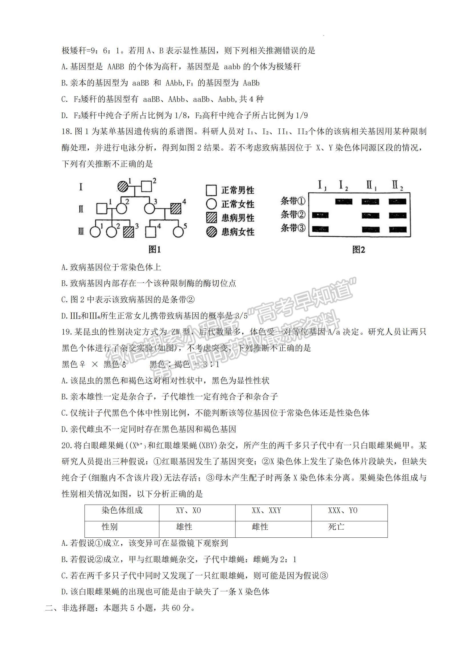 2024河南省平許濟洛高三第一次質(zhì)量檢測生物試題及參考答案