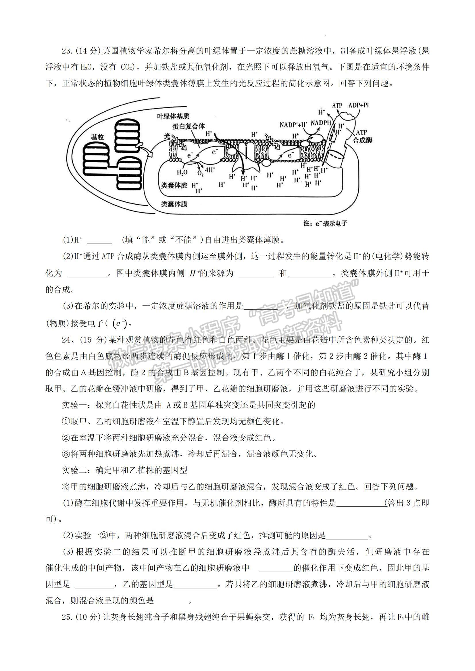 2024河南省平許濟洛高三第一次質(zhì)量檢測生物試題及參考答案