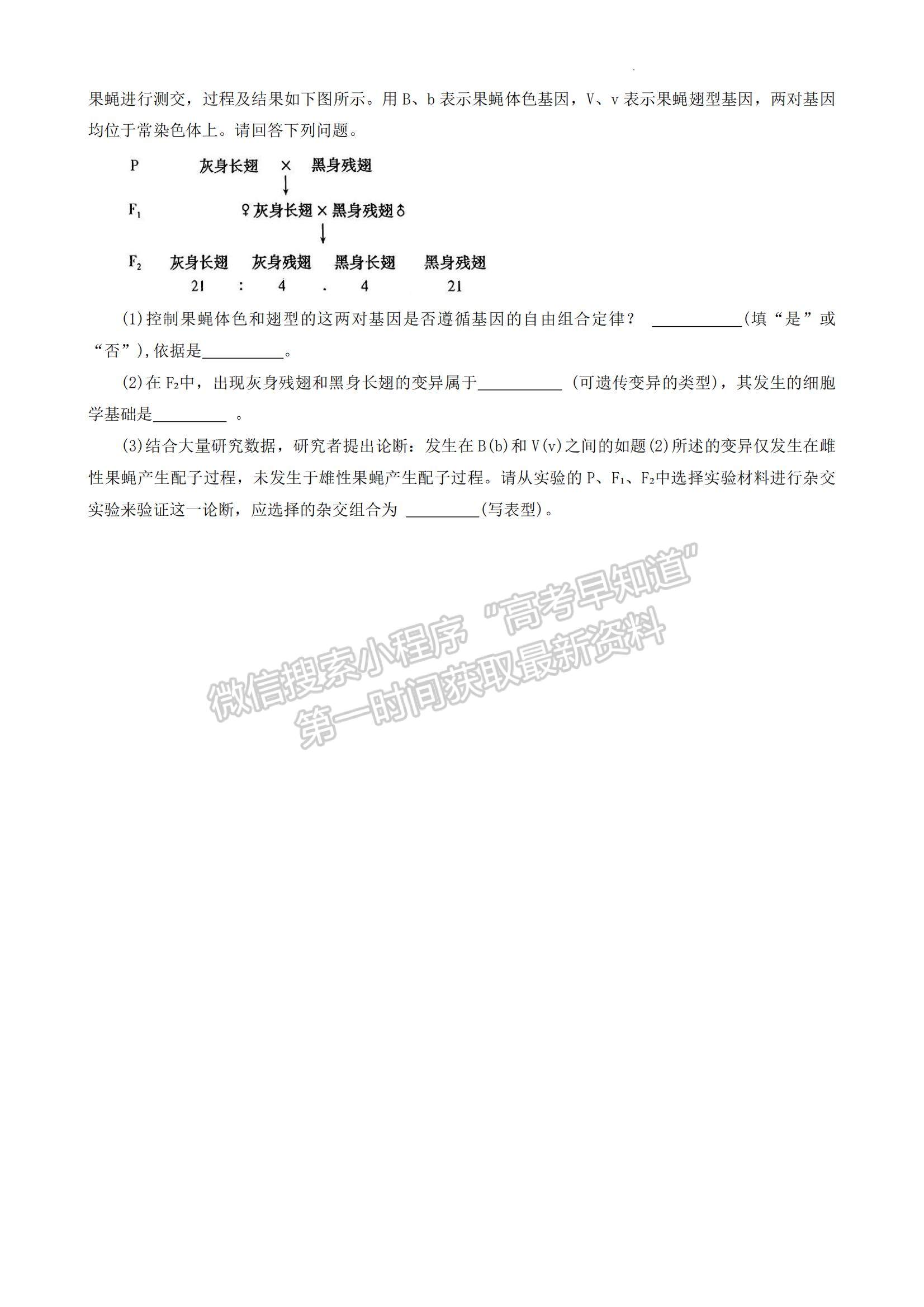 2024河南省平許濟(jì)洛高三第一次質(zhì)量檢測(cè)生物試題及參考答案