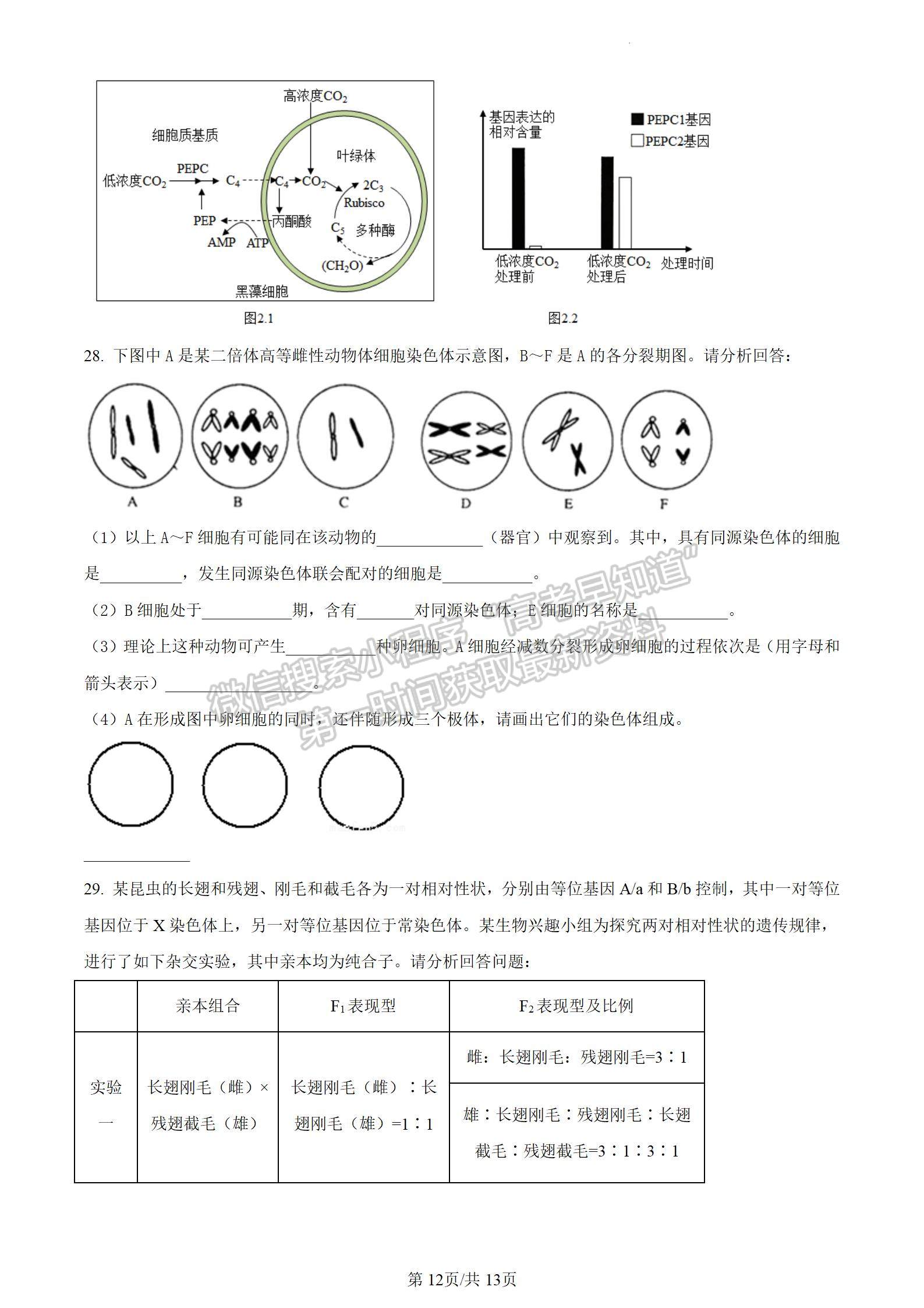 河南省信陽市2023-2024學(xué)年高三上學(xué)期第一次教學(xué)質(zhì)量檢測(cè)生物試題及參考答案