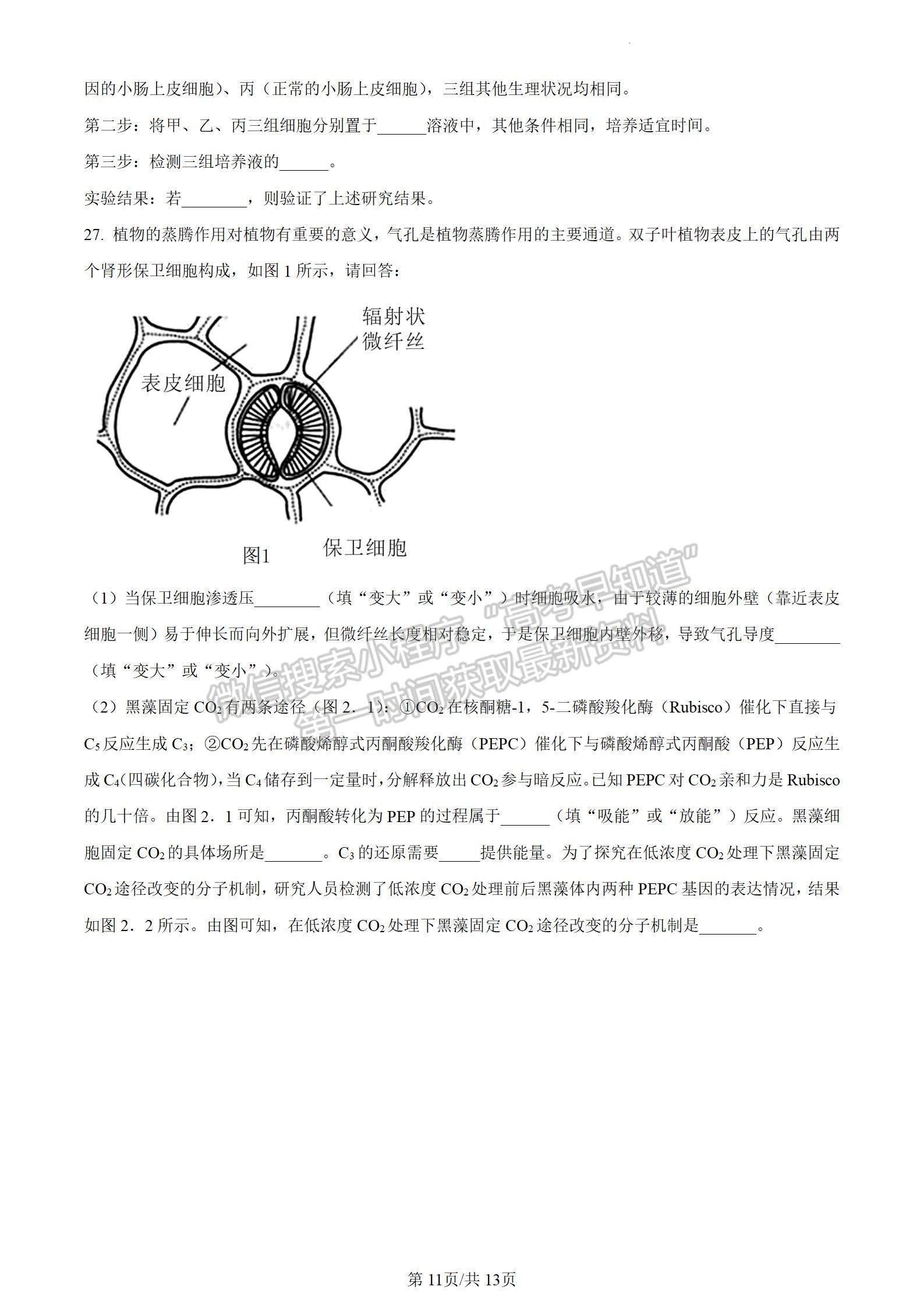 河南省信陽市2023-2024學(xué)年高三上學(xué)期第一次教學(xué)質(zhì)量檢測(cè)生物試題及參考答案