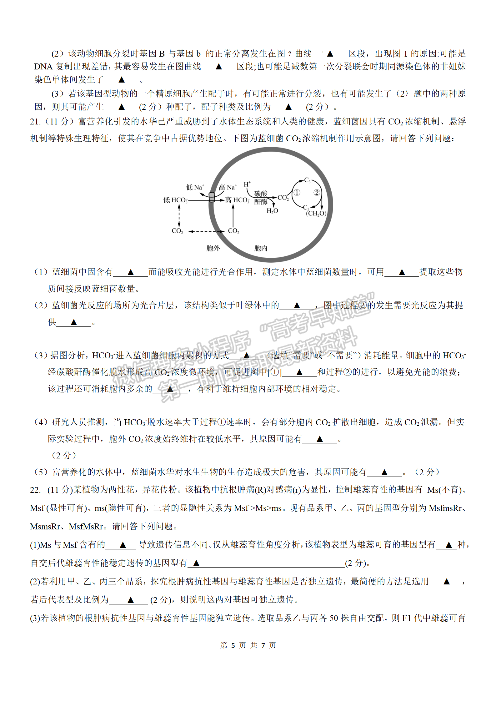 2024屆江蘇省連云港高三10月學(xué)情檢測生物試題及答案