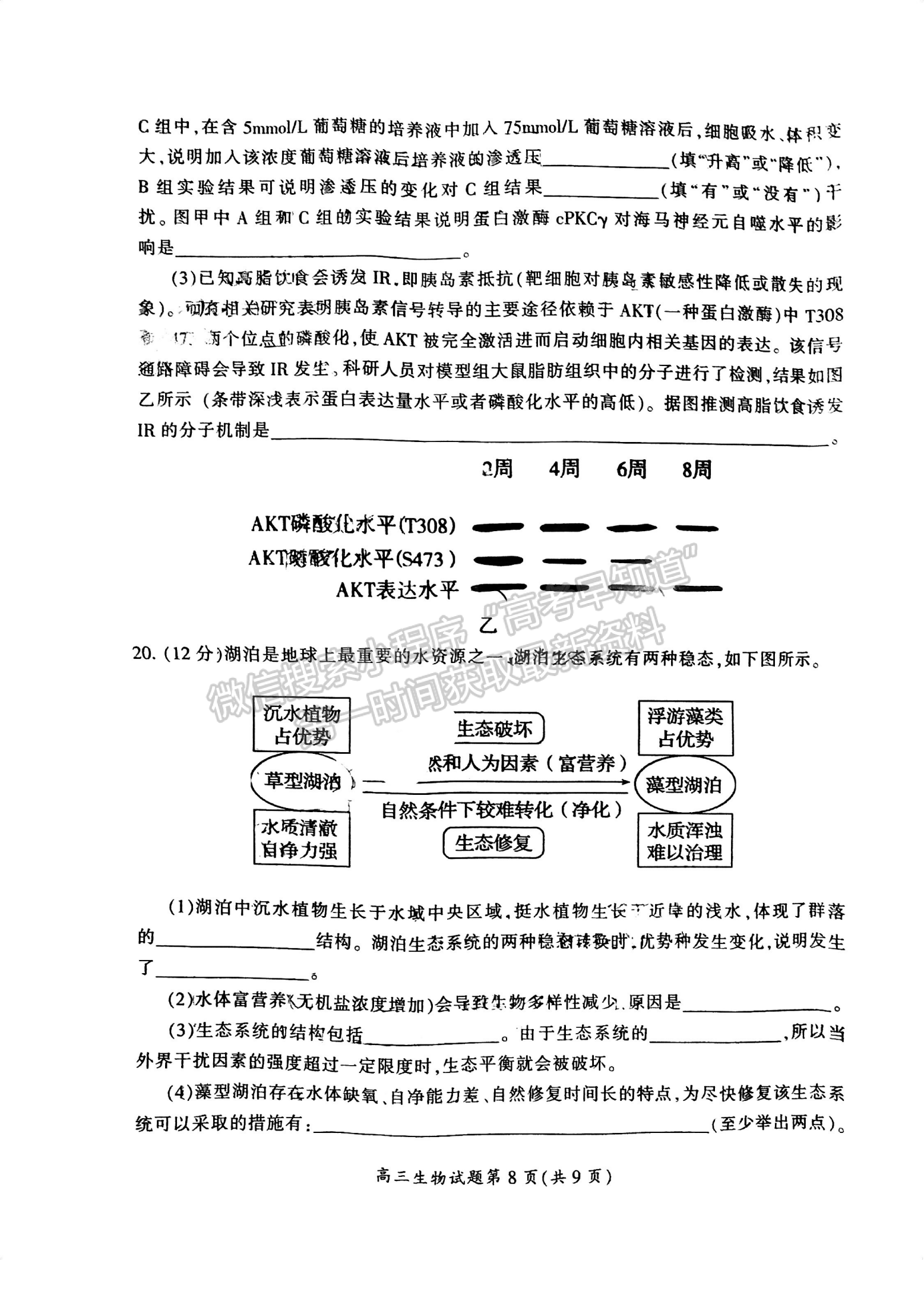 郴州市2024屆高三第一次教學(xué)質(zhì)量監(jiān)測試卷 生物