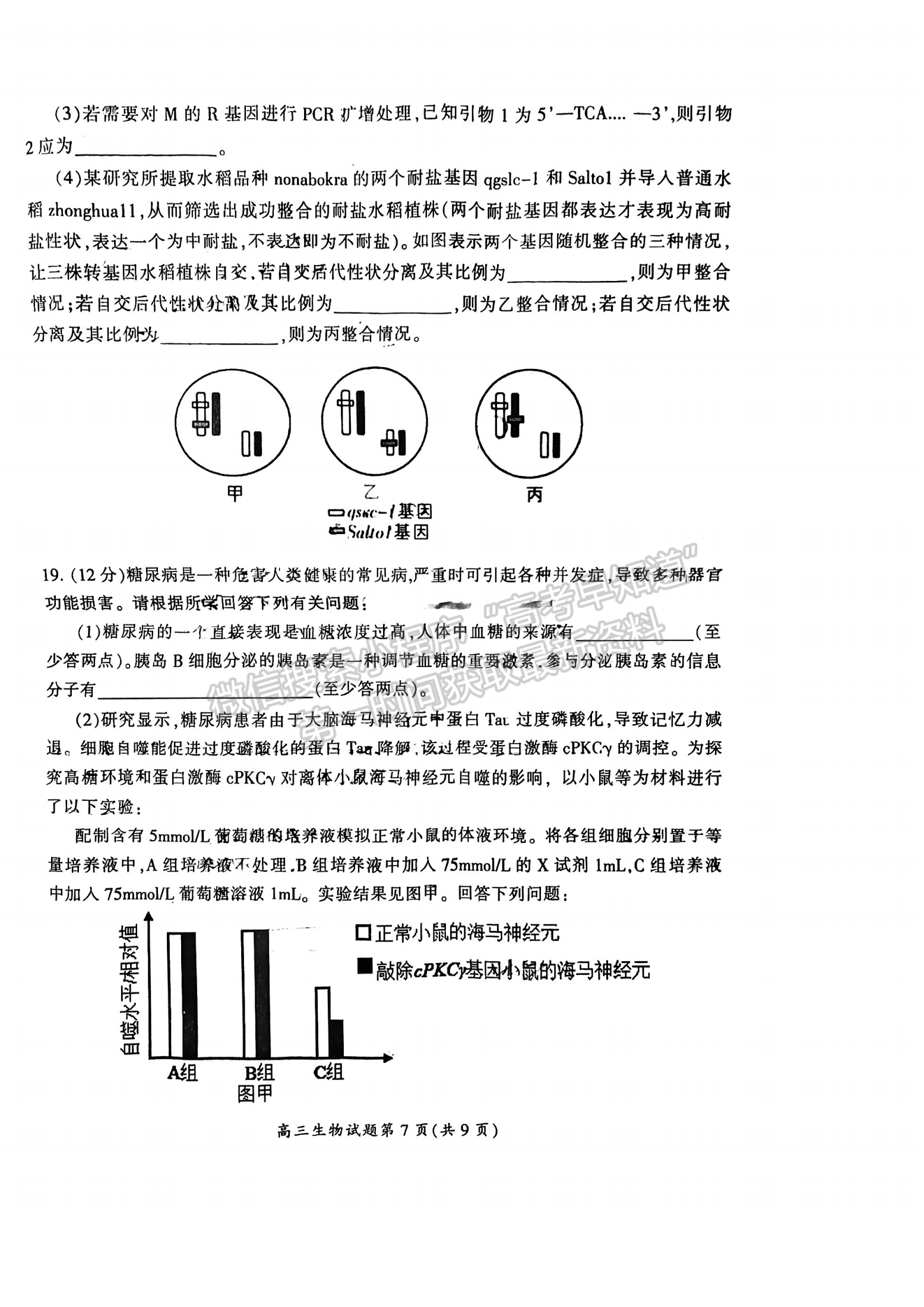 郴州市2024屆高三第一次教學(xué)質(zhì)量監(jiān)測試卷 生物