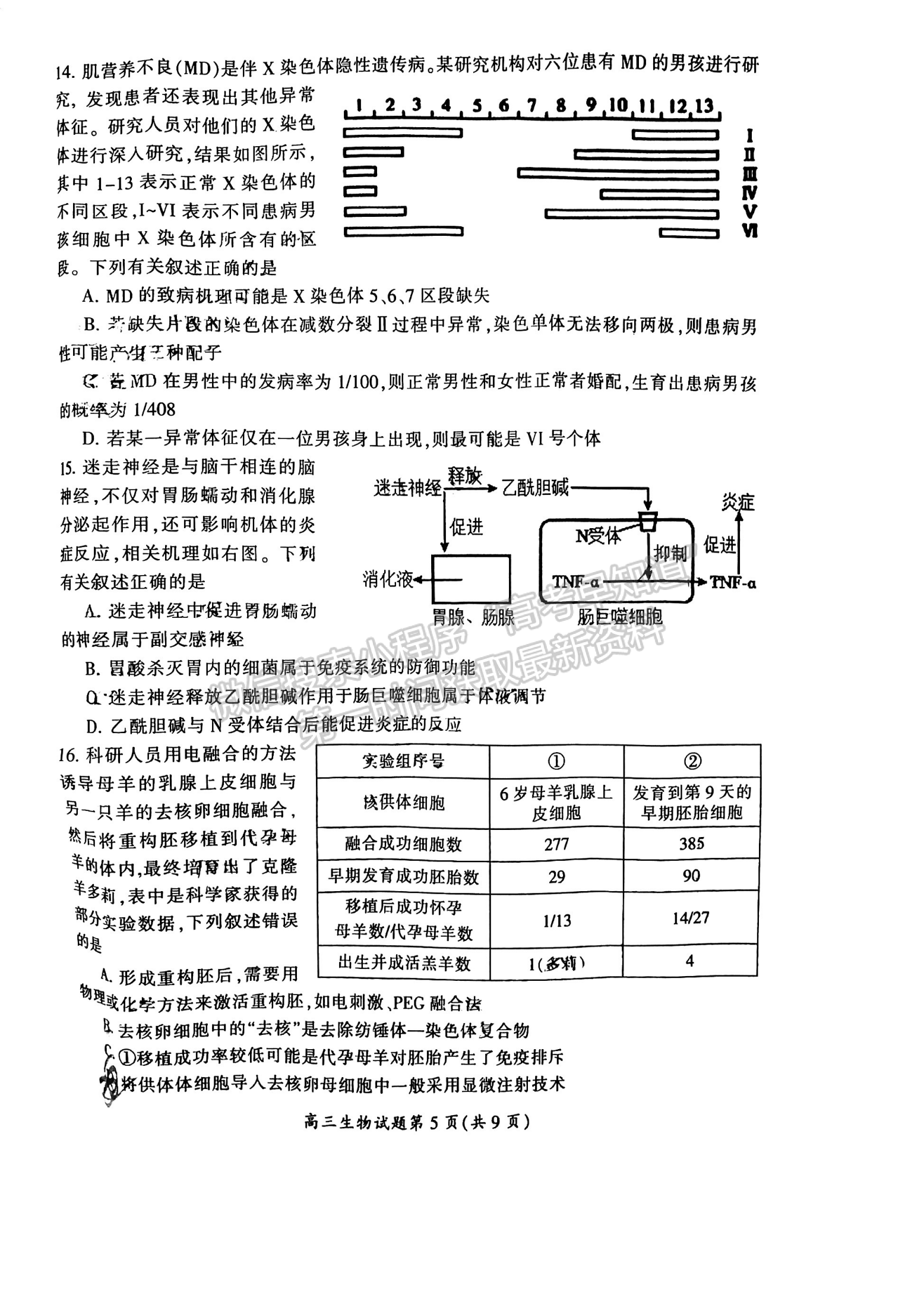 郴州市2024屆高三第一次教學質(zhì)量監(jiān)測試卷 生物