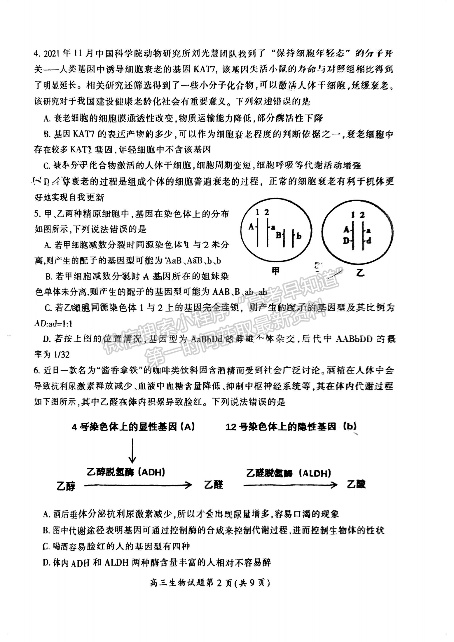 郴州市2024届高三第一次教学质量监测试卷 生物