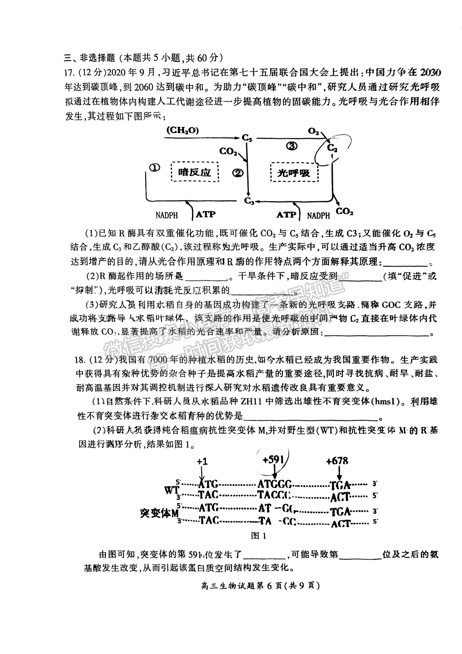 郴州市2024屆高三第一次教學質(zhì)量監(jiān)測試卷 生物