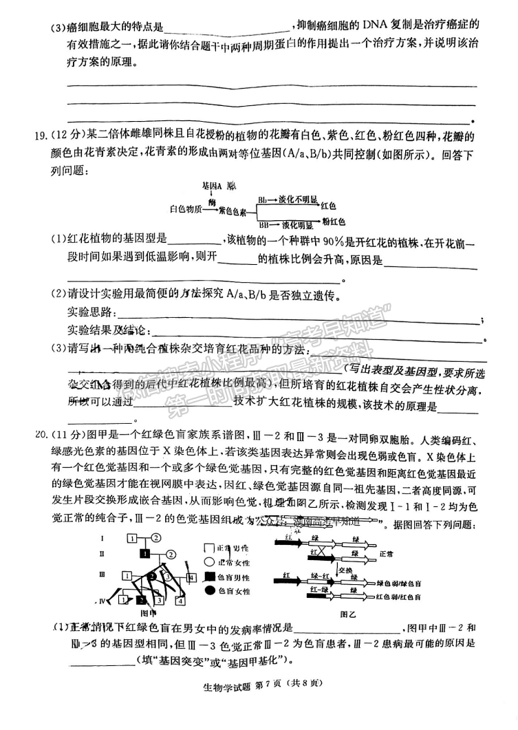 名校聯(lián)考聯(lián)合體2024屆高三第三次聯(lián)考生物試卷及參考答案