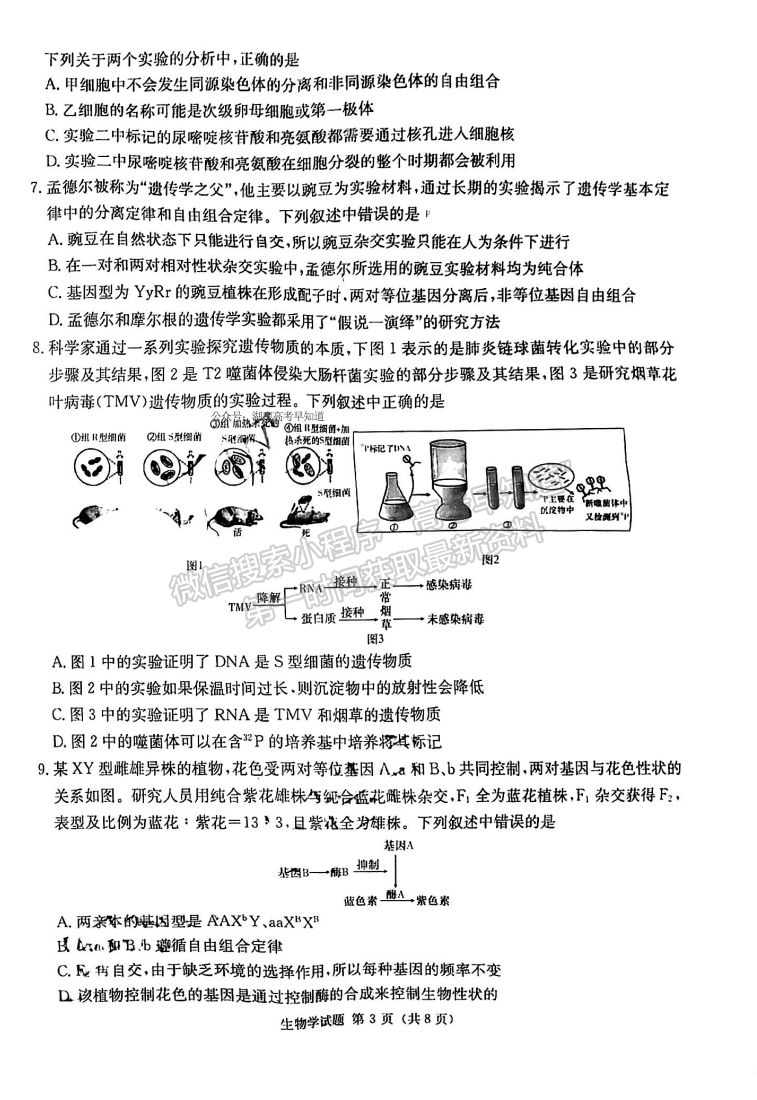 名校聯(lián)考聯(lián)合體2024屆高三第三次聯(lián)考生物試卷及參考答案